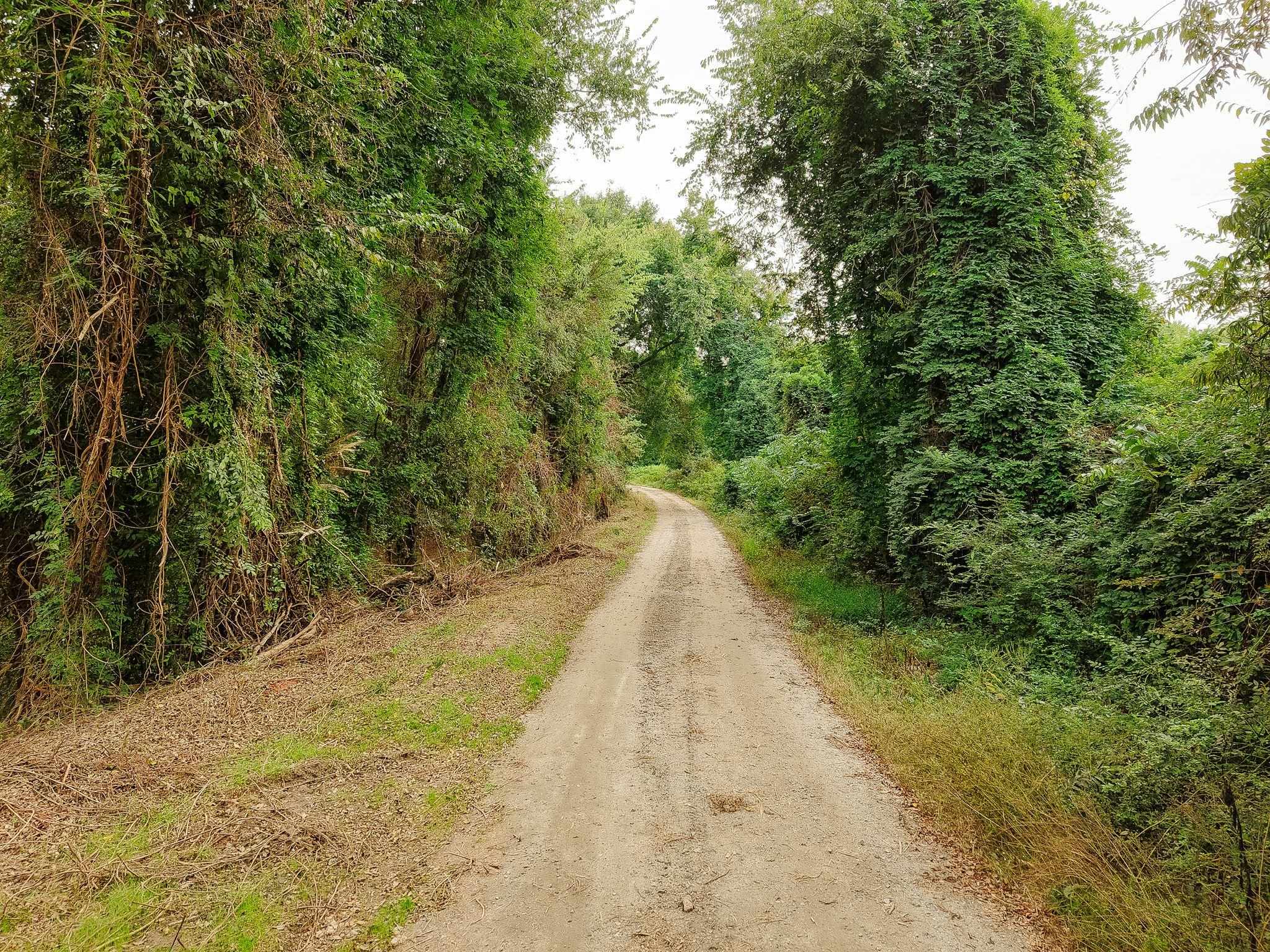 340487 Property Photo 31