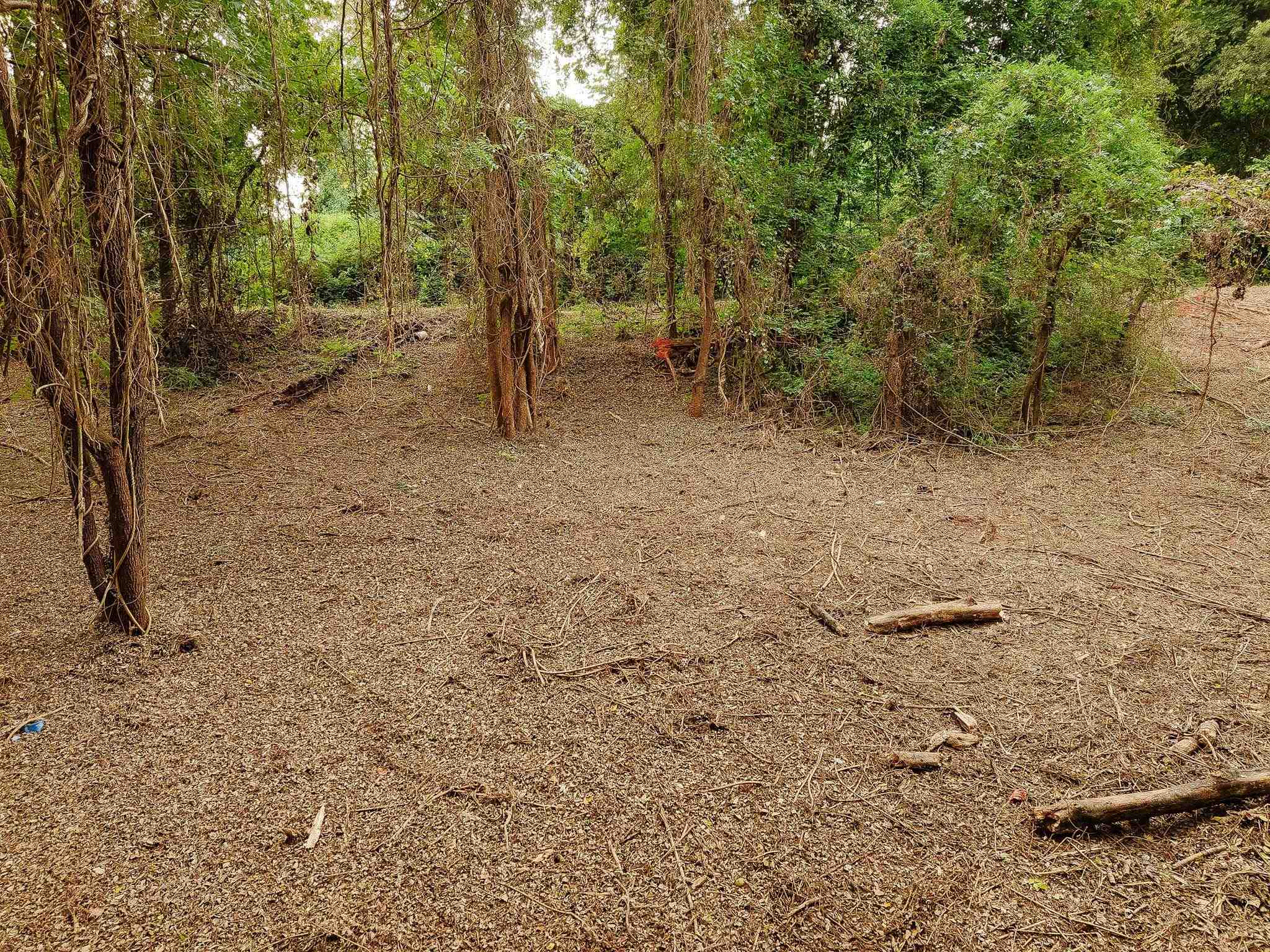 340487 Property Photo 34