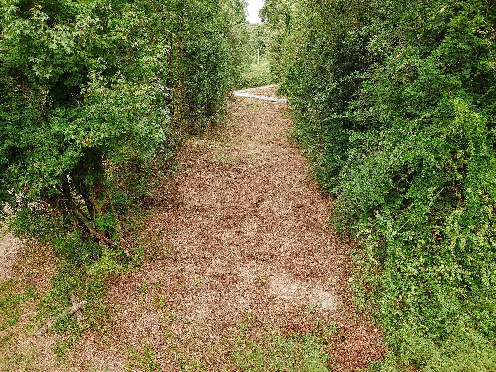 340487 Property Photo 41