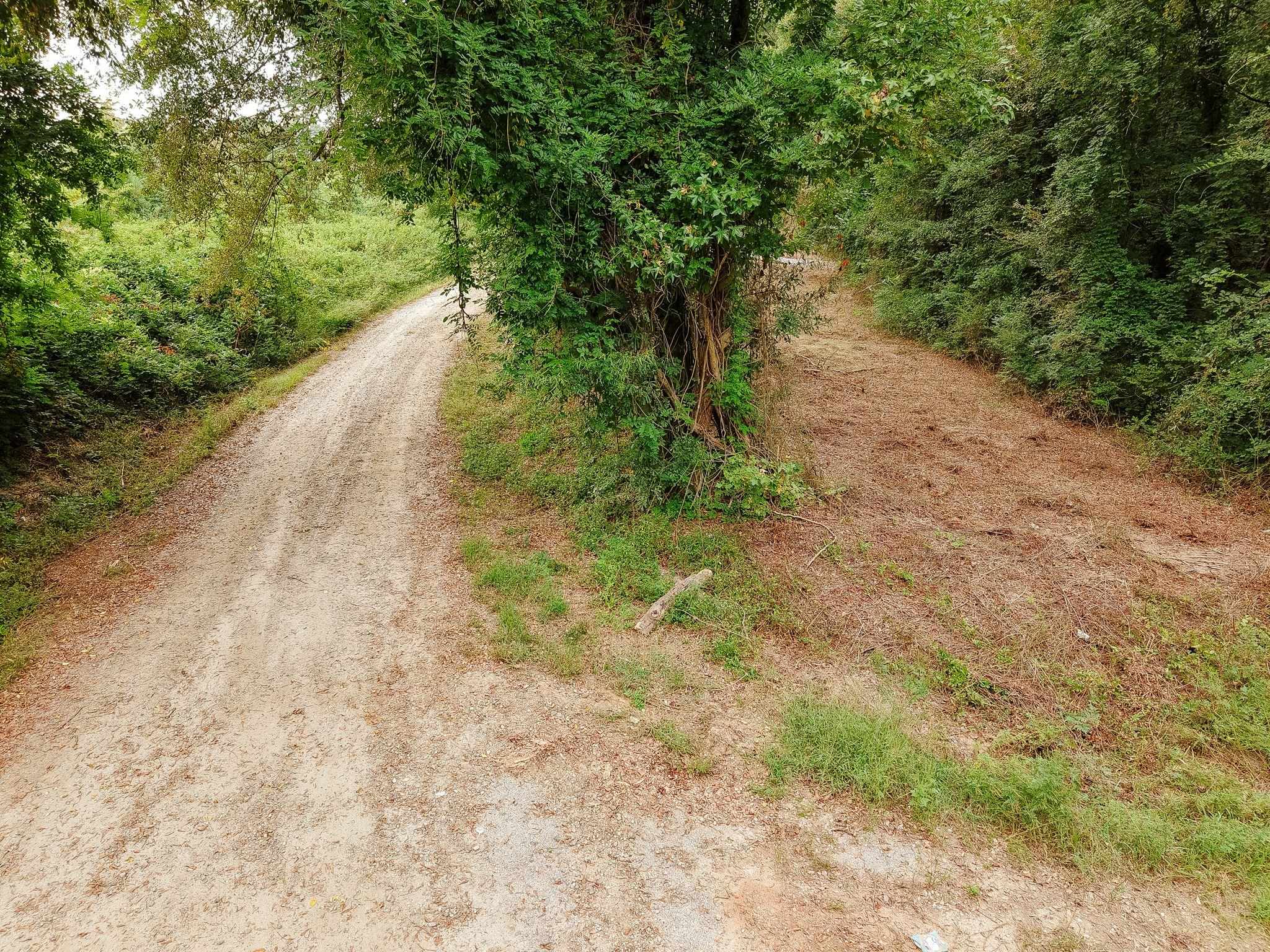 340487 Property Photo 42