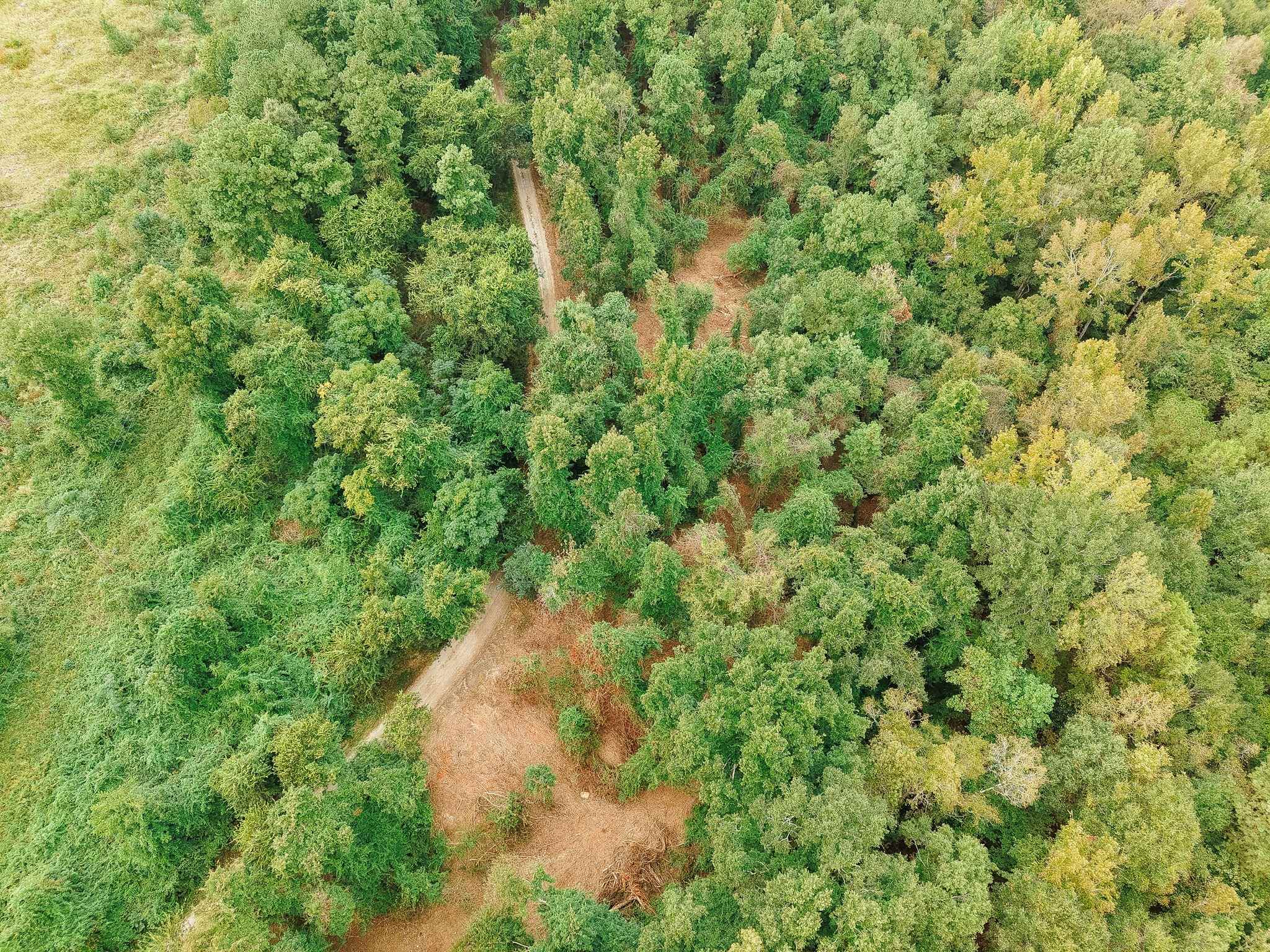 340487 Property Photo 47