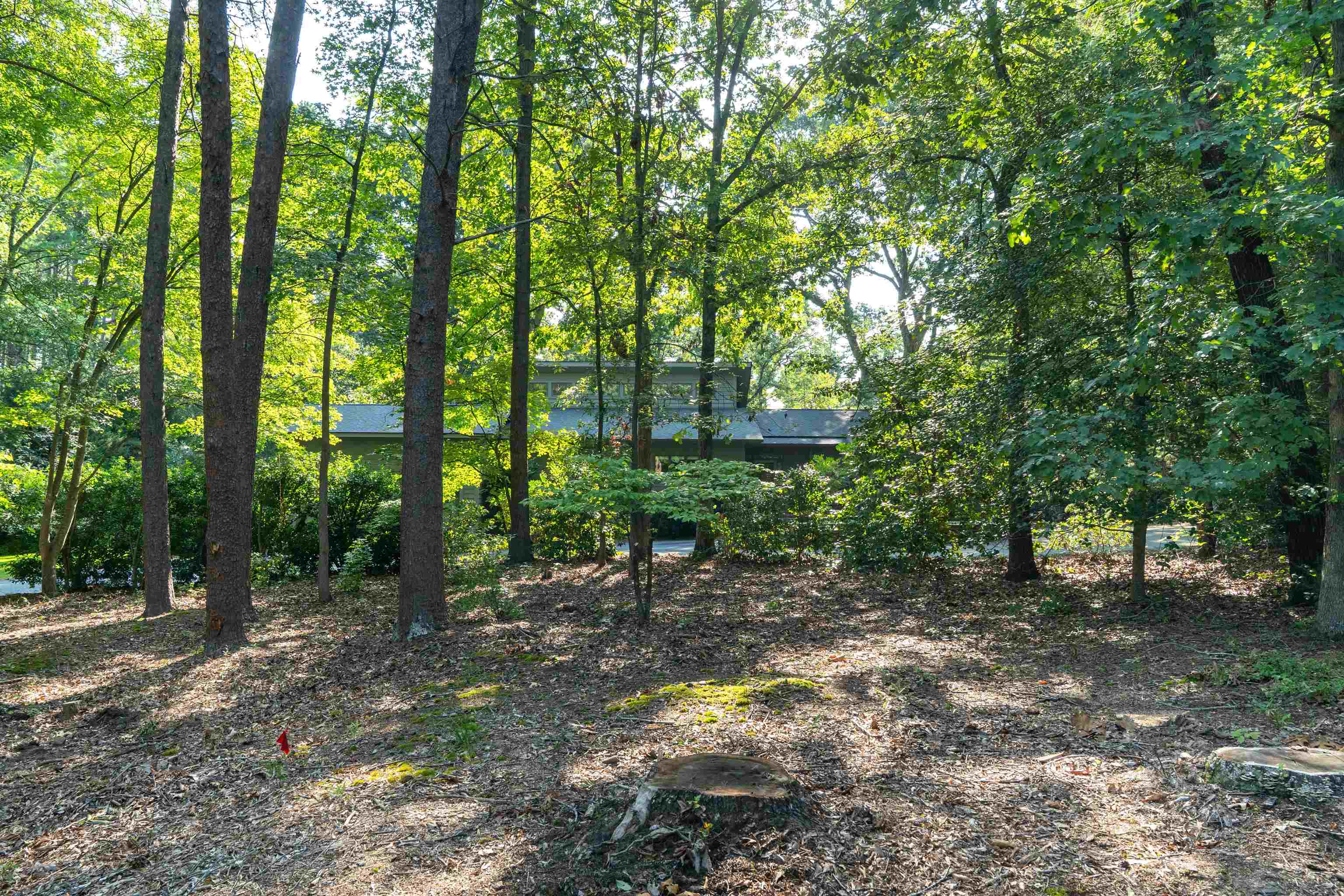 100 Wood Lily Lane Property Photo 38