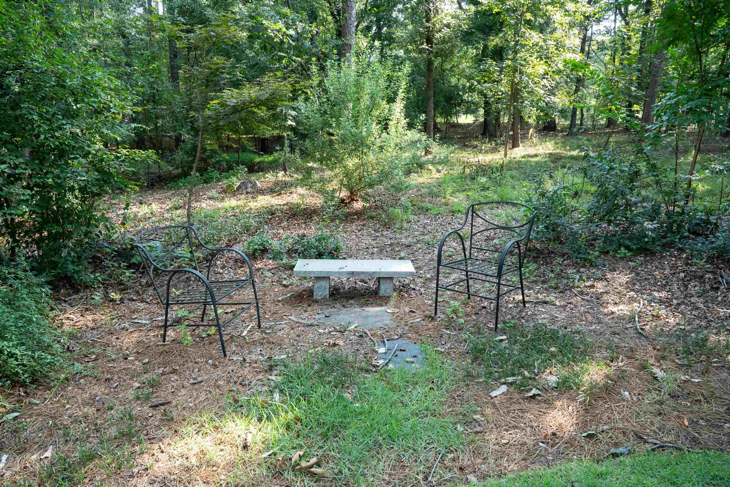 100 Wood Lily Lane Property Photo 42