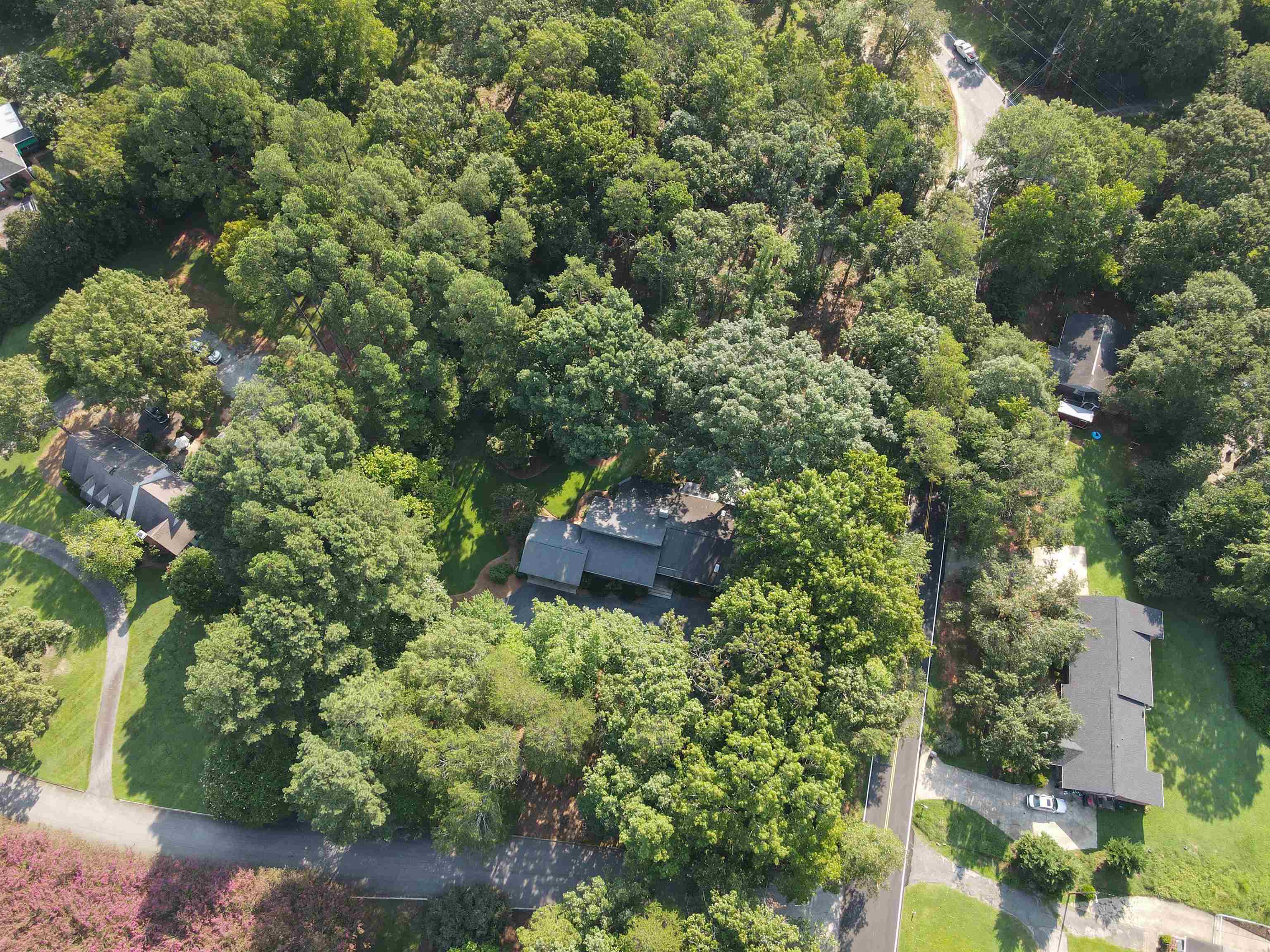 100 Wood Lily Lane Property Photo 47