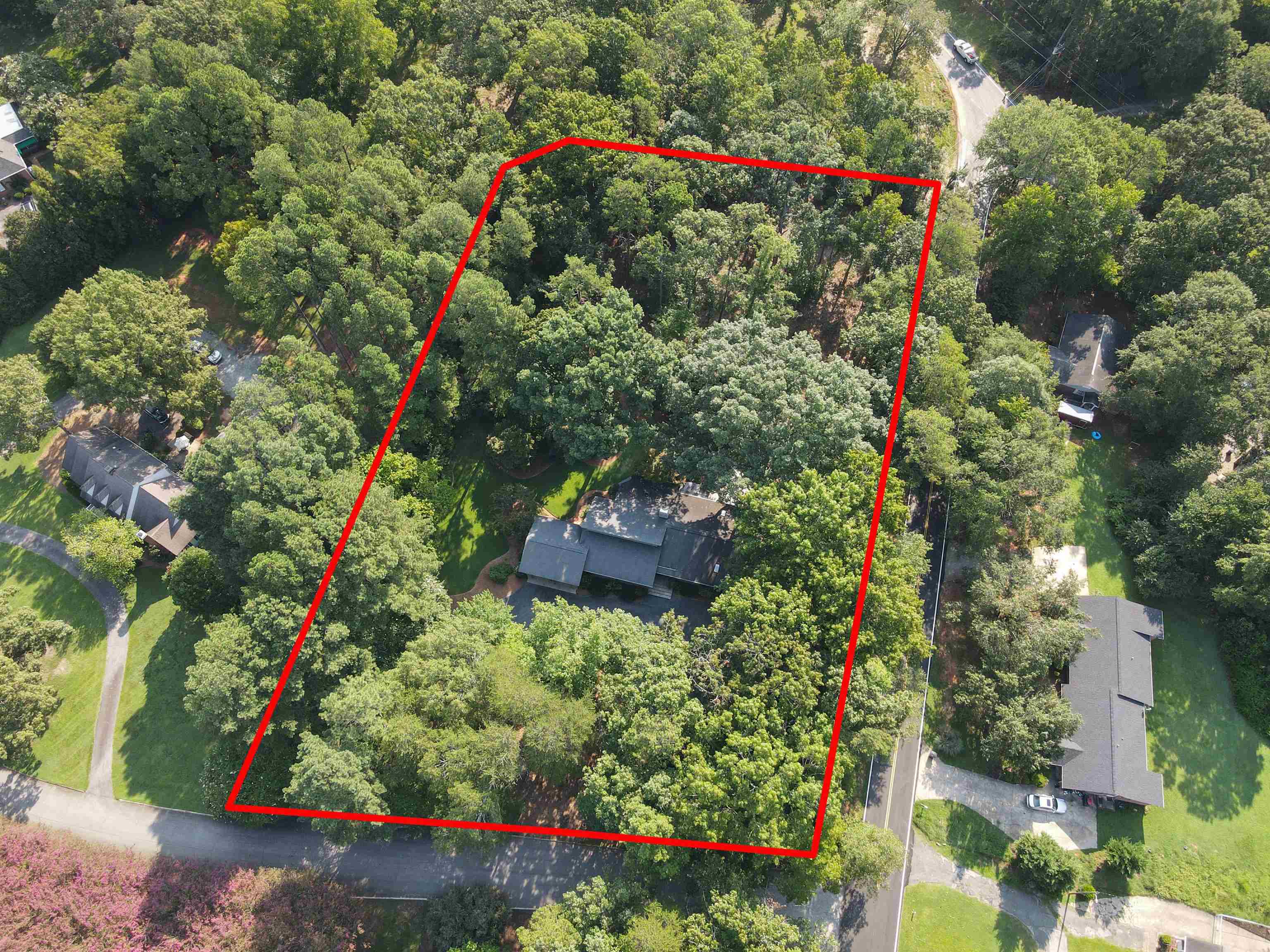 100 Wood Lily Lane Property Photo 48