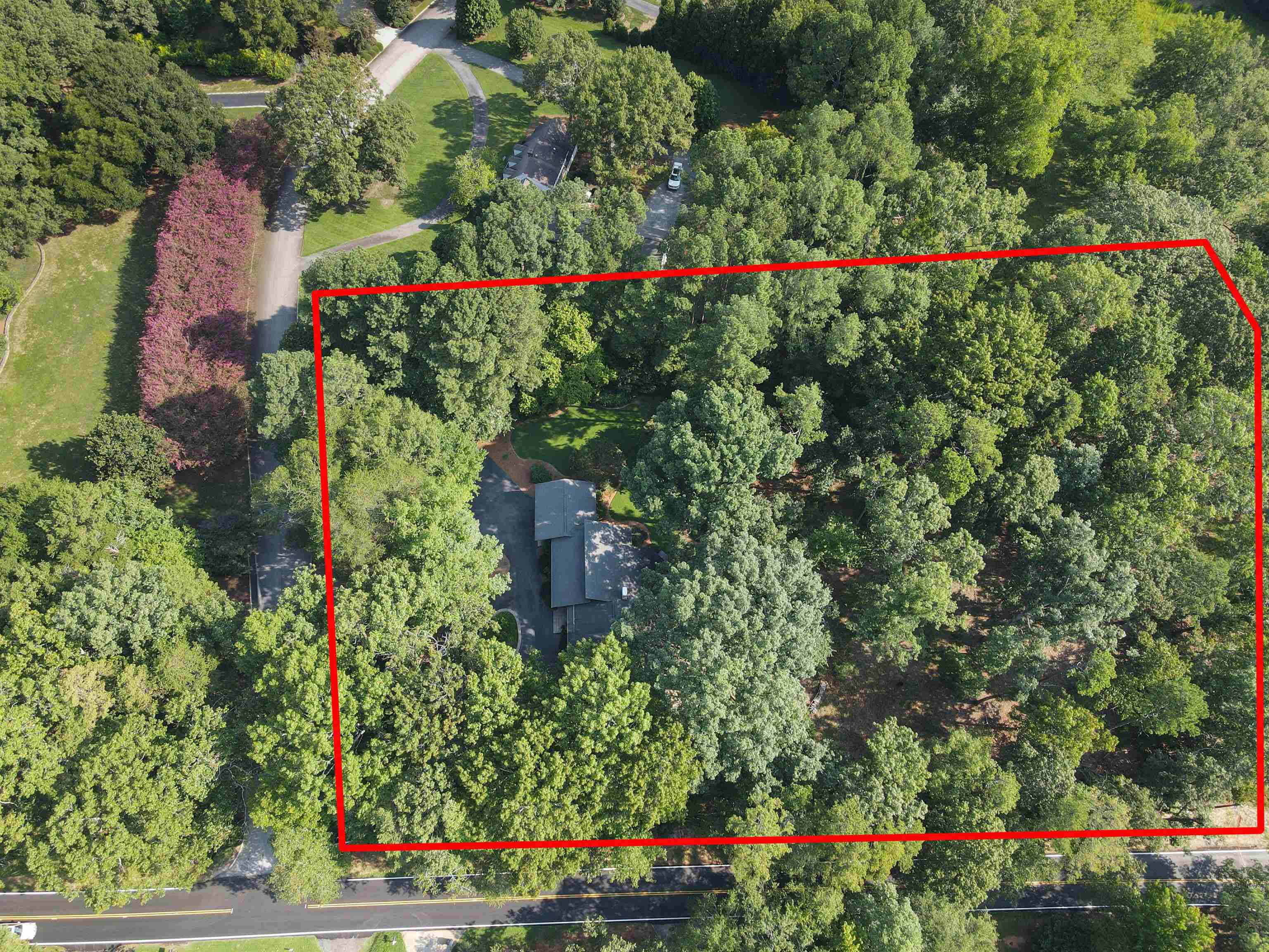 100 Wood Lily Lane Property Photo 49