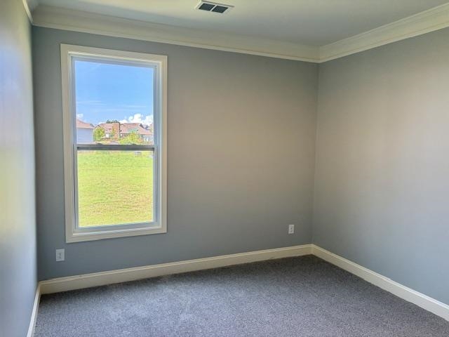 6208 Graymount Trail Property Photo 16