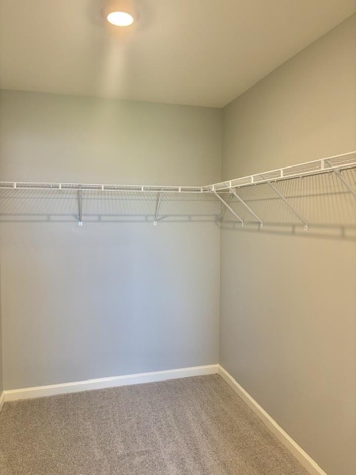 6208 Graymount Trail Property Photo 25