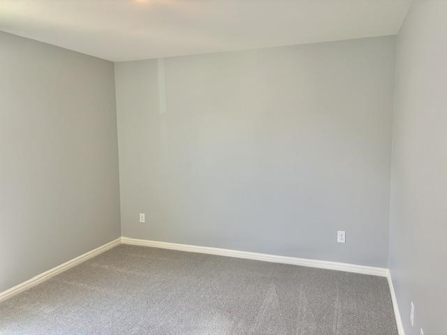 6208 Graymount Trail Property Photo 28