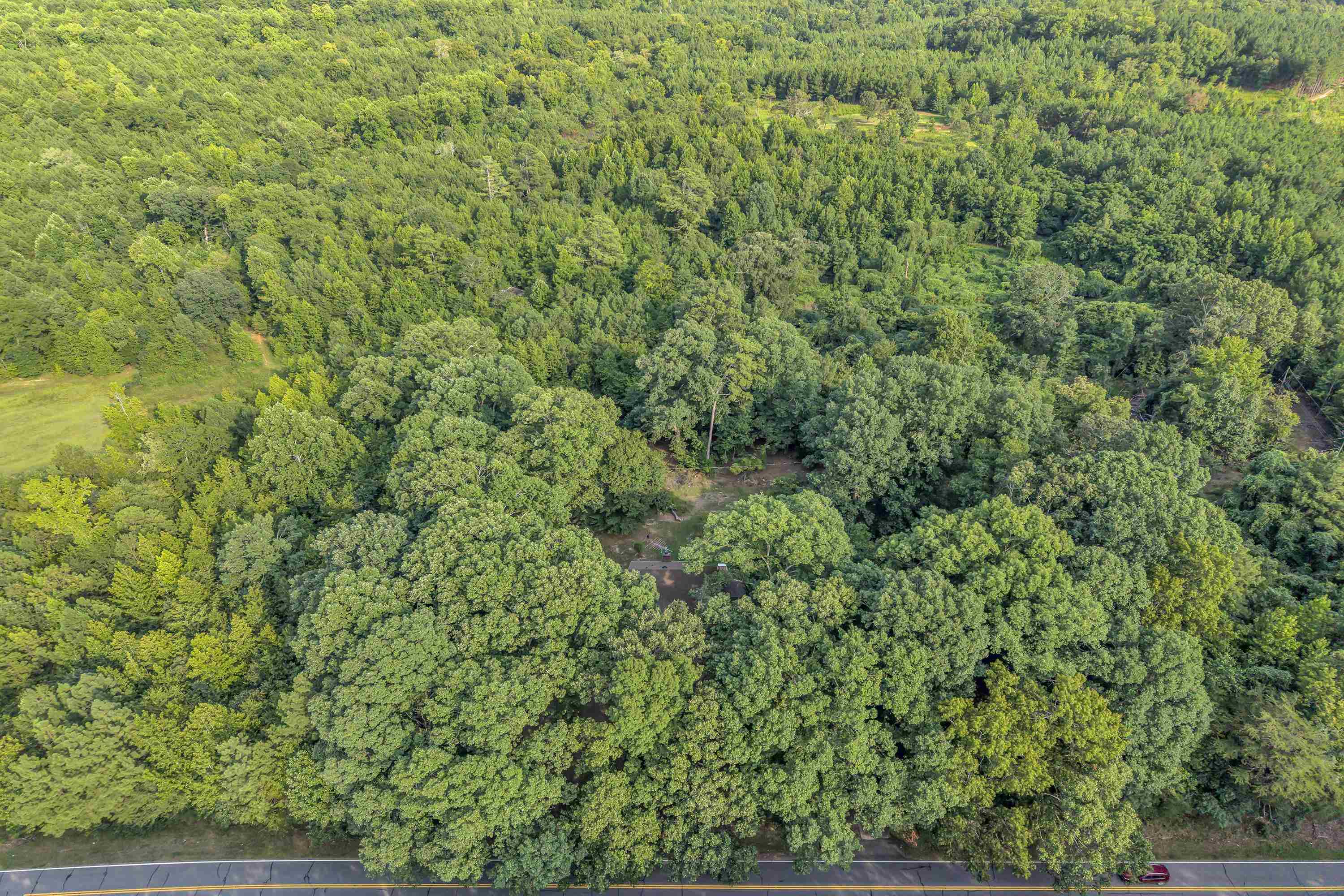 221 Dairy Ridge Road Property Photo 4