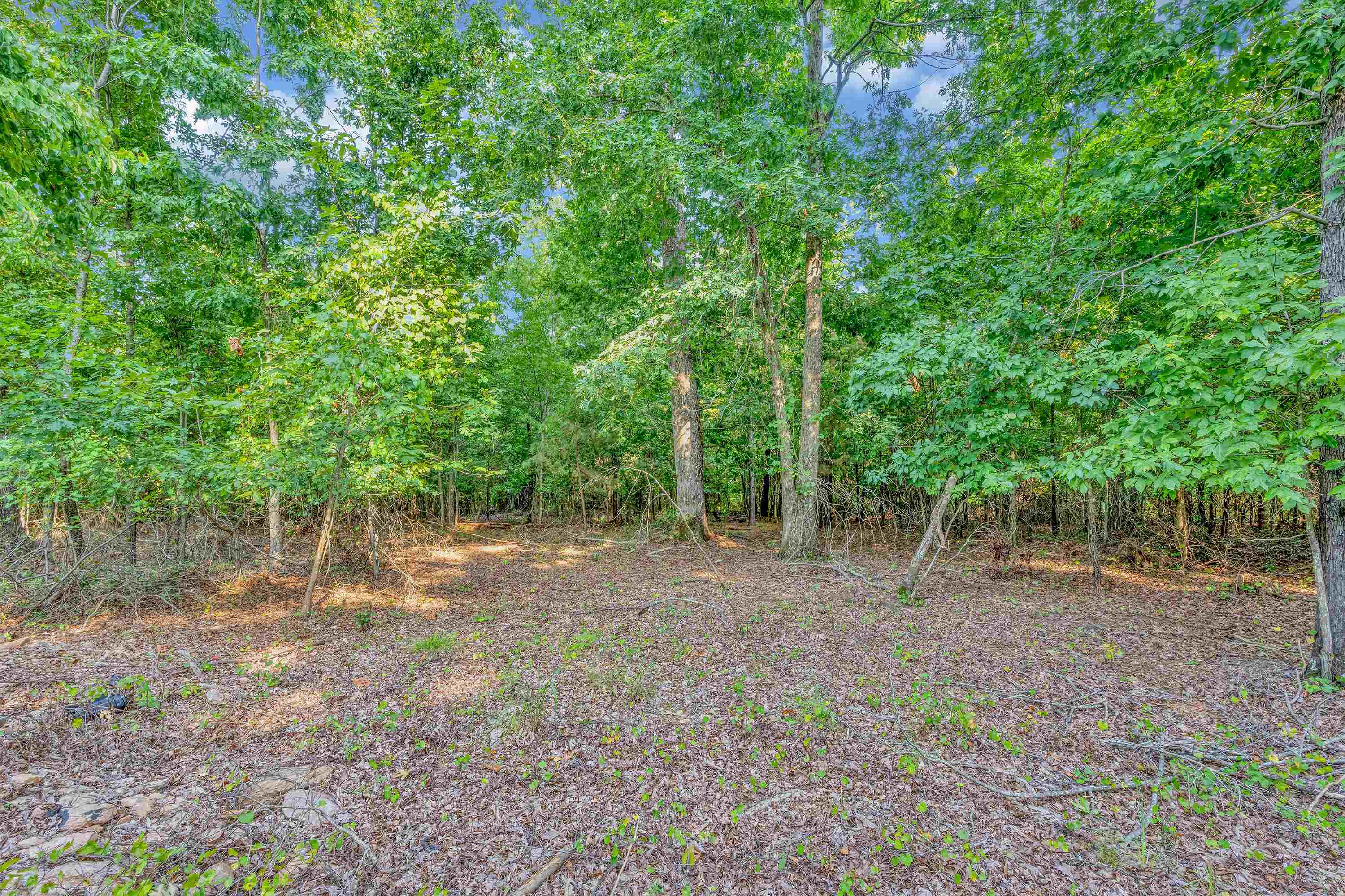 221 Dairy Ridge Road Property Photo 15