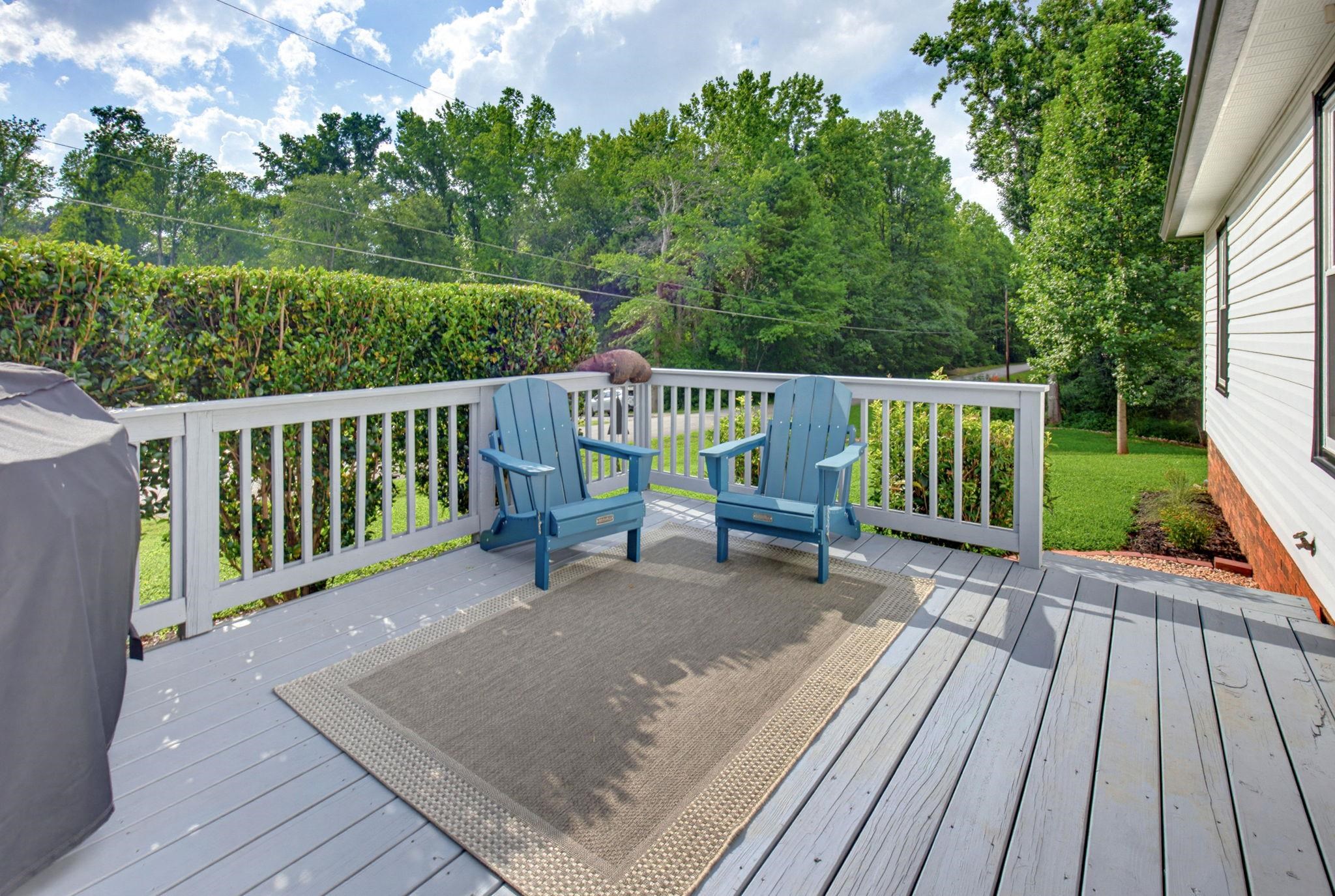 101 Valleydale Court Property Photo 30
