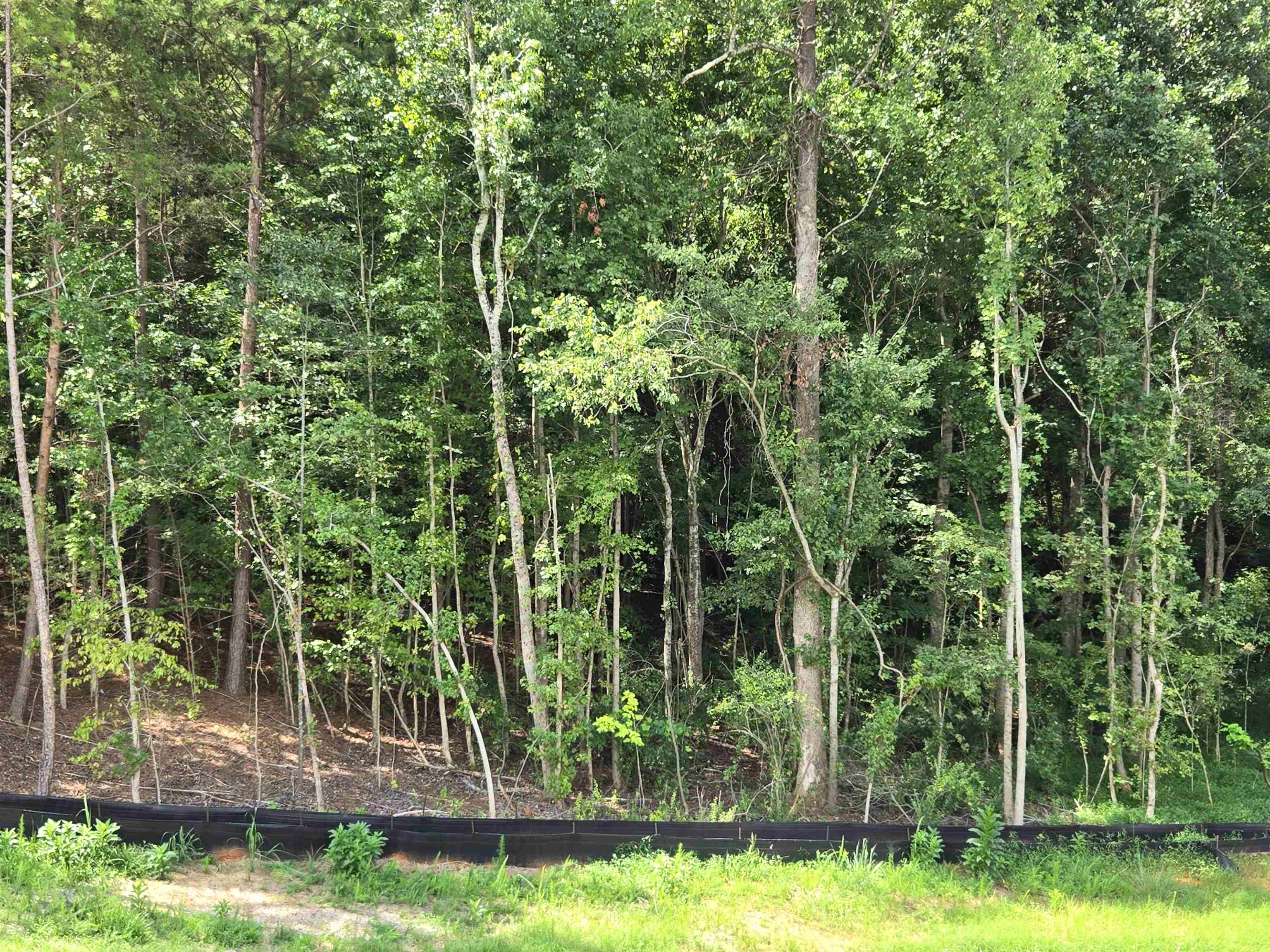 340565 Property Photo 4