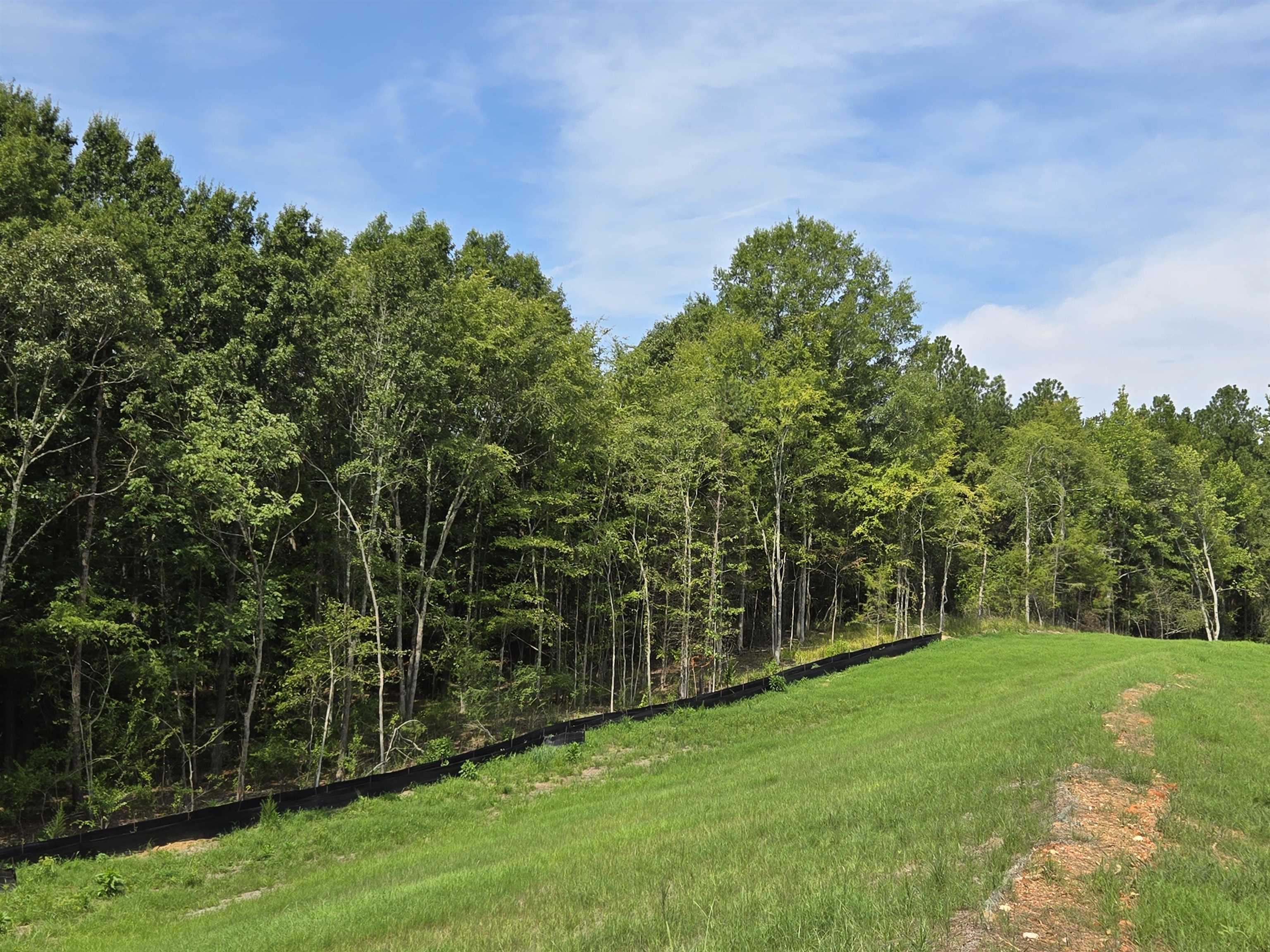 340565 Property Photo 6