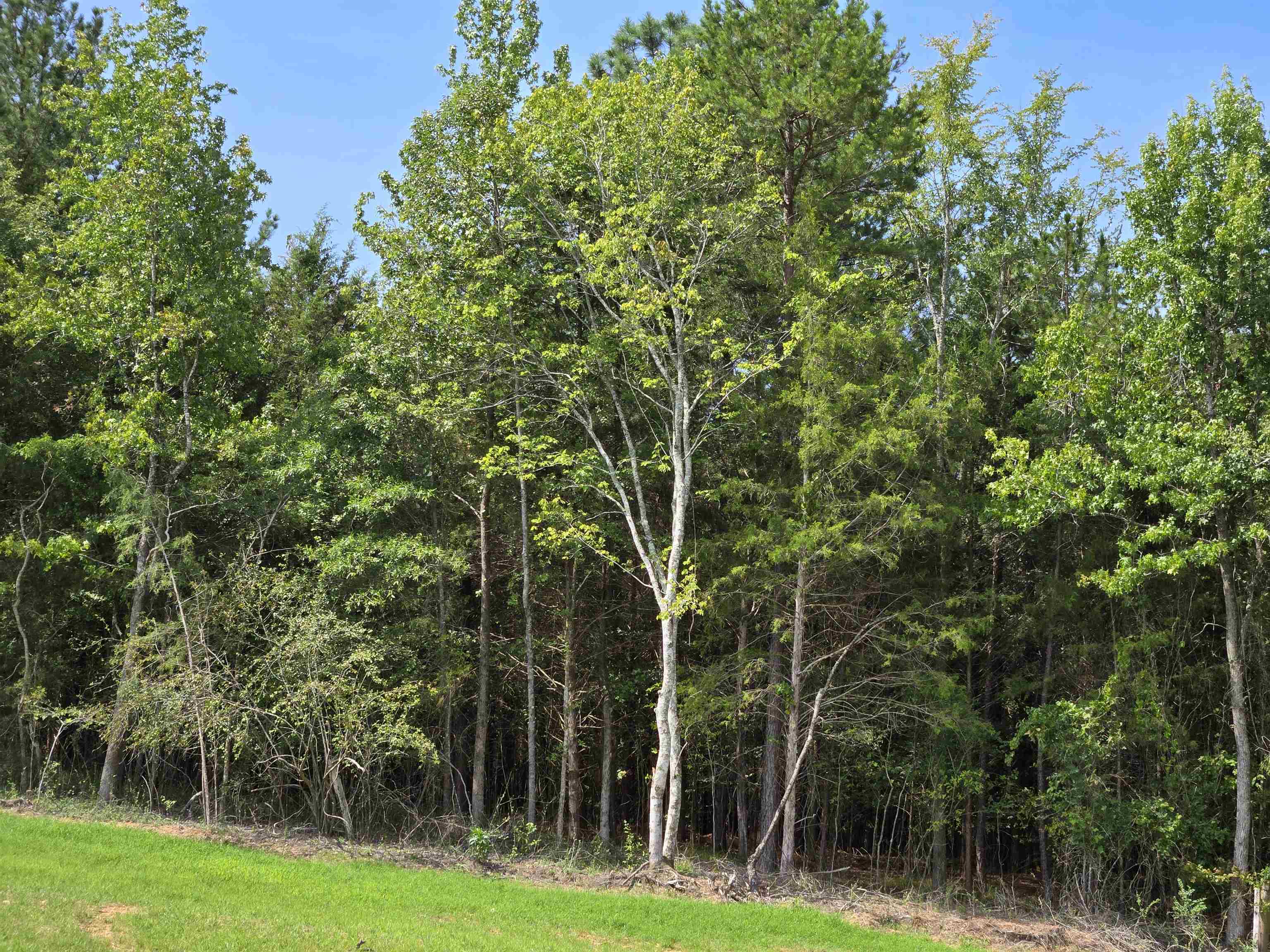 340565 Property Photo 9