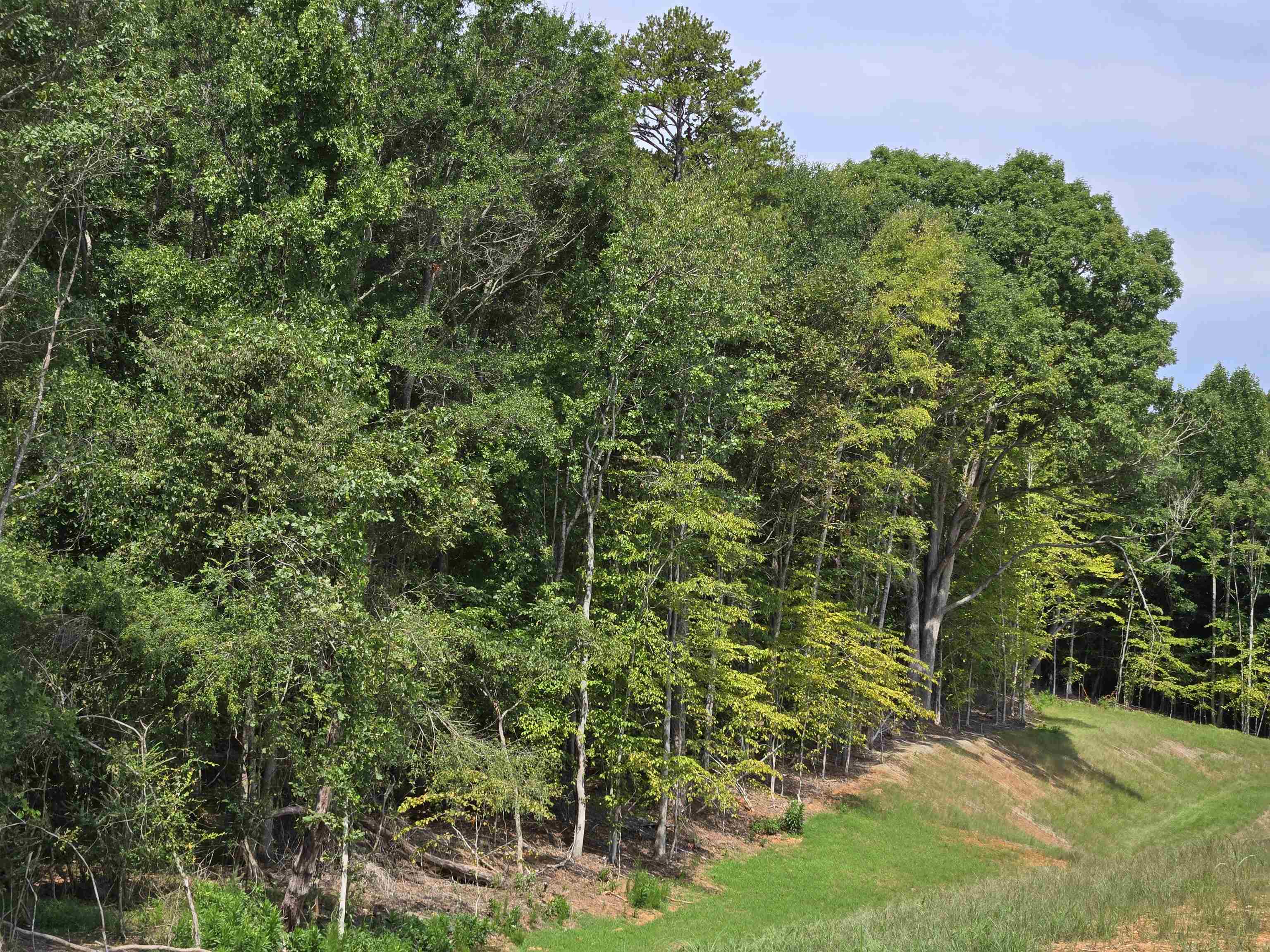 340565 Property Photo 10