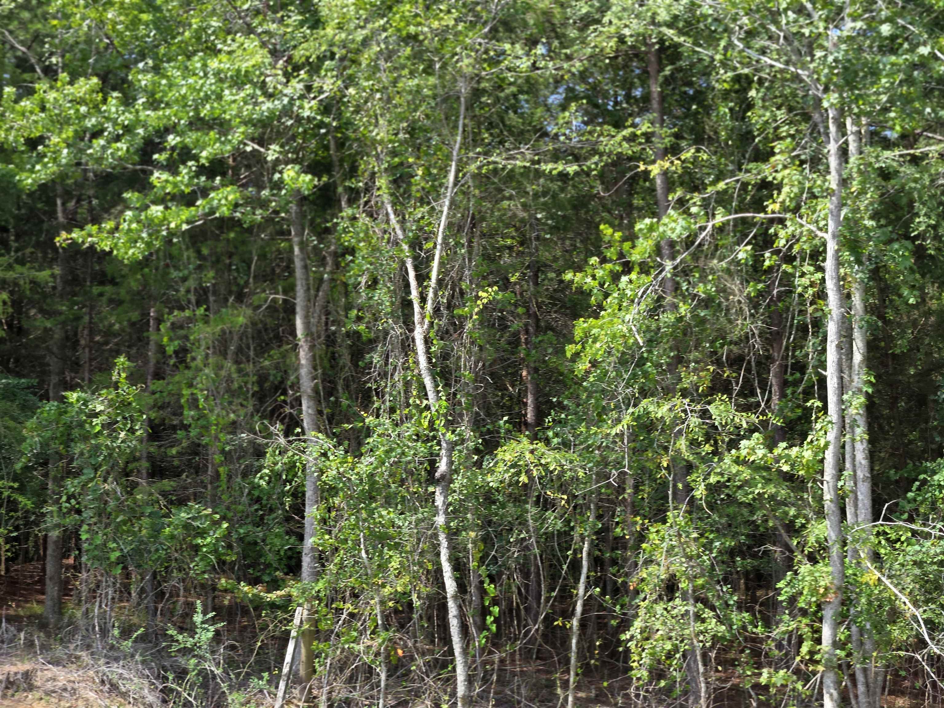 340565 Property Photo 11