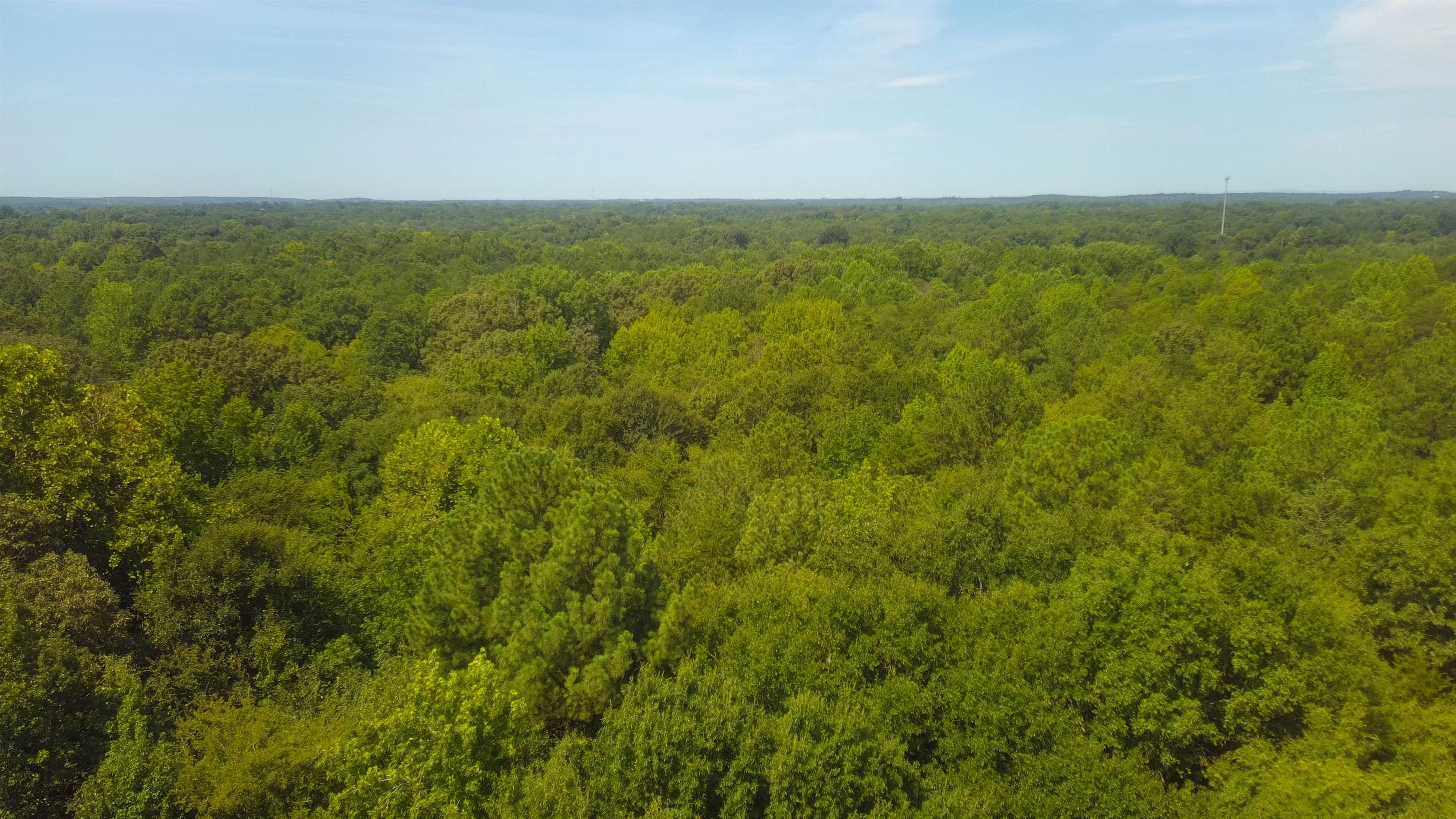 340565 Property Photo 15