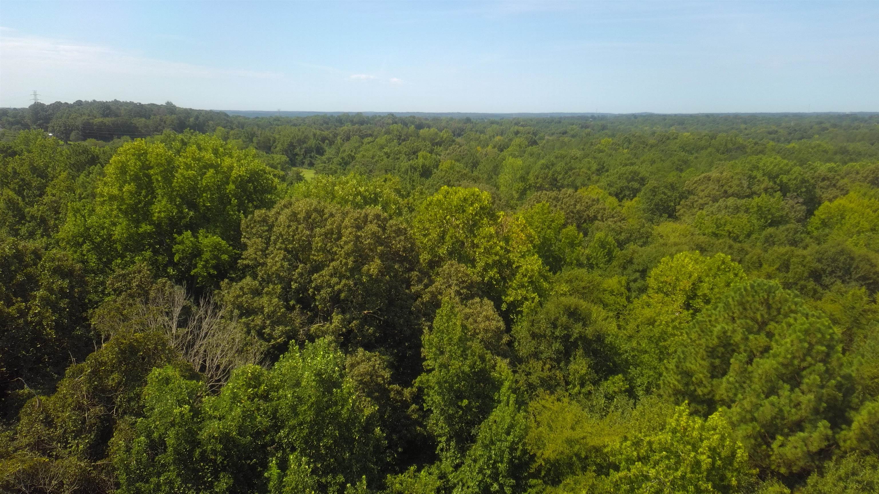 340565 Property Photo 16
