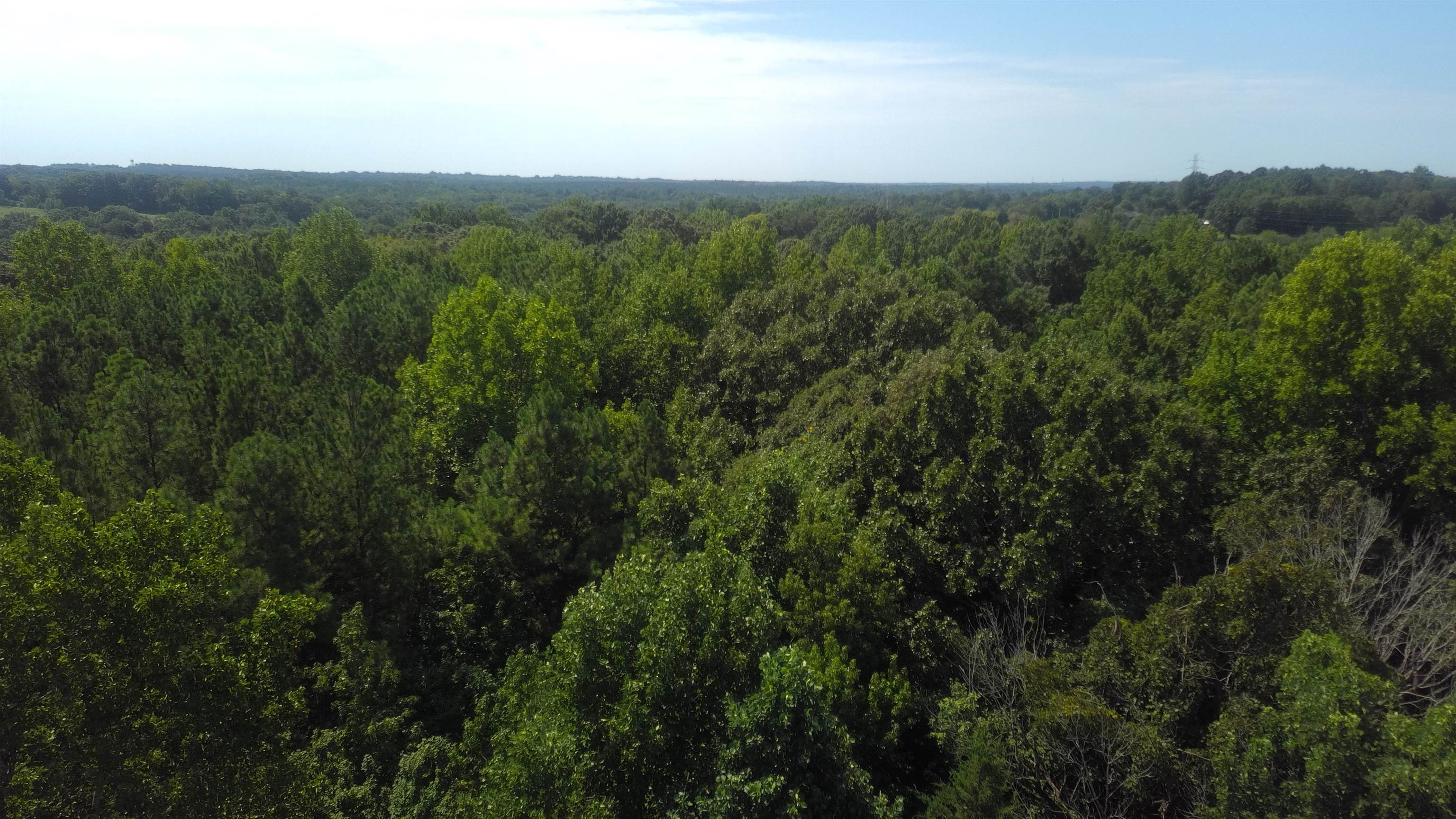 340565 Property Photo 17