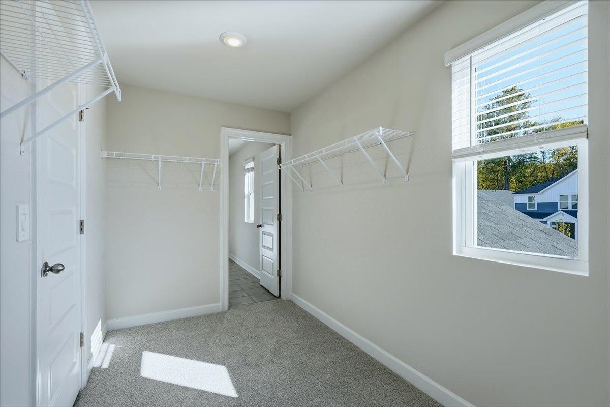 947 Rising Oak Court Property Photo 20