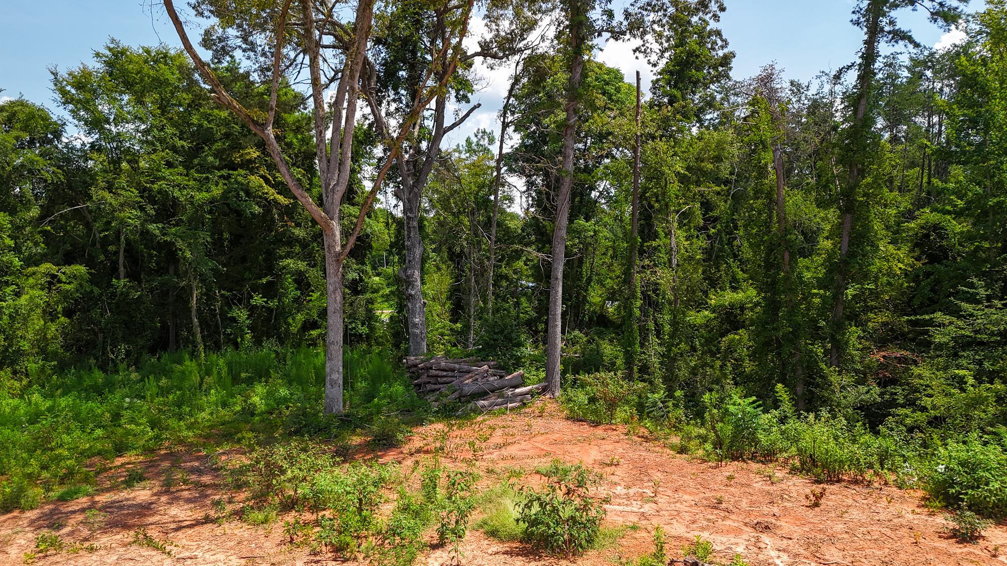 340645 Property Photo 6