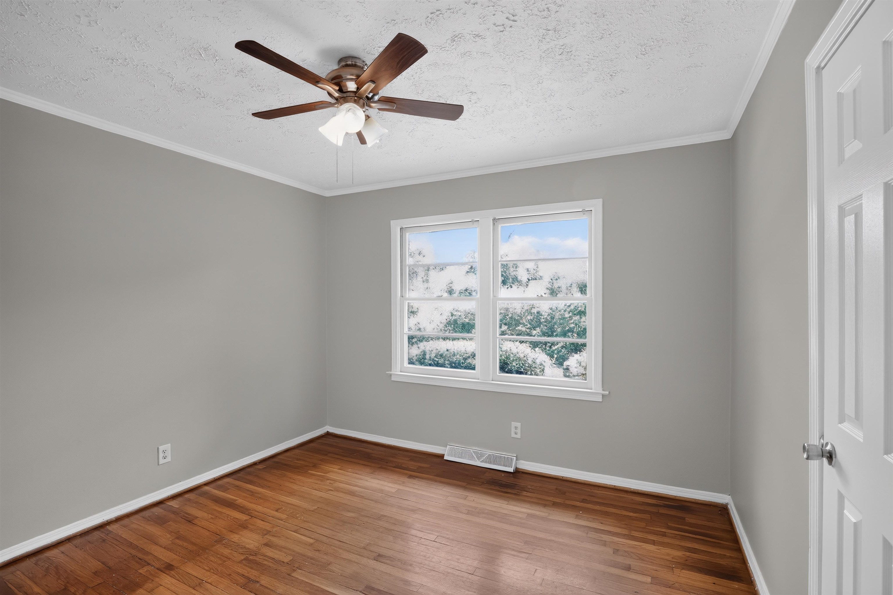 114 Folkstone Street Property Photo 10