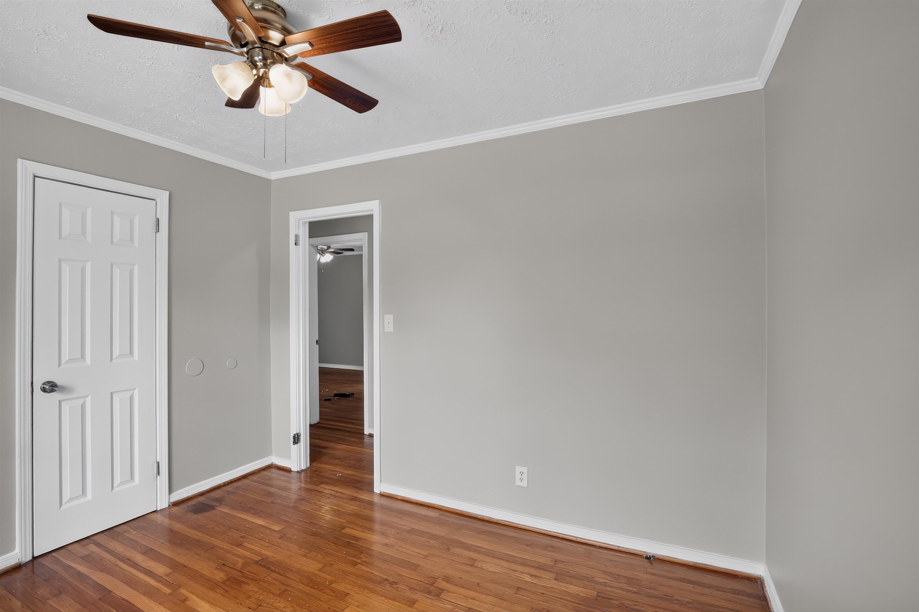 114 Folkstone Street Property Photo 11