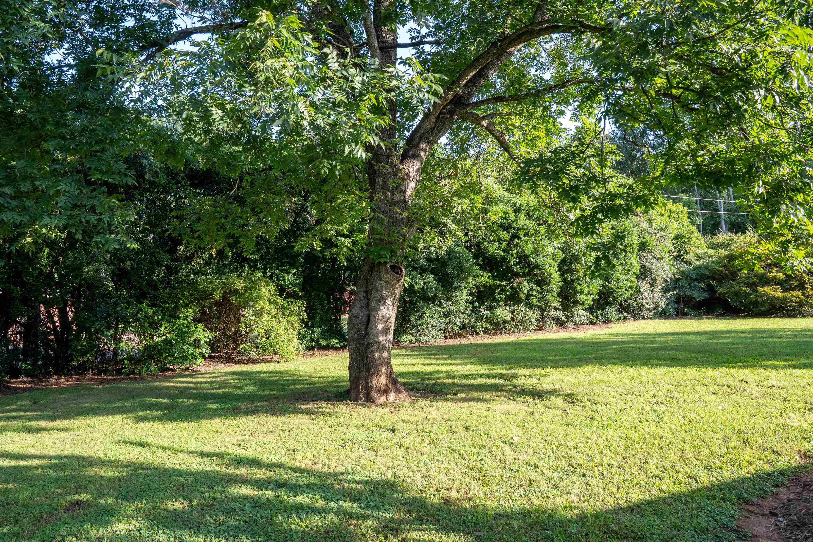 32 Nichols Drive Property Photo 26