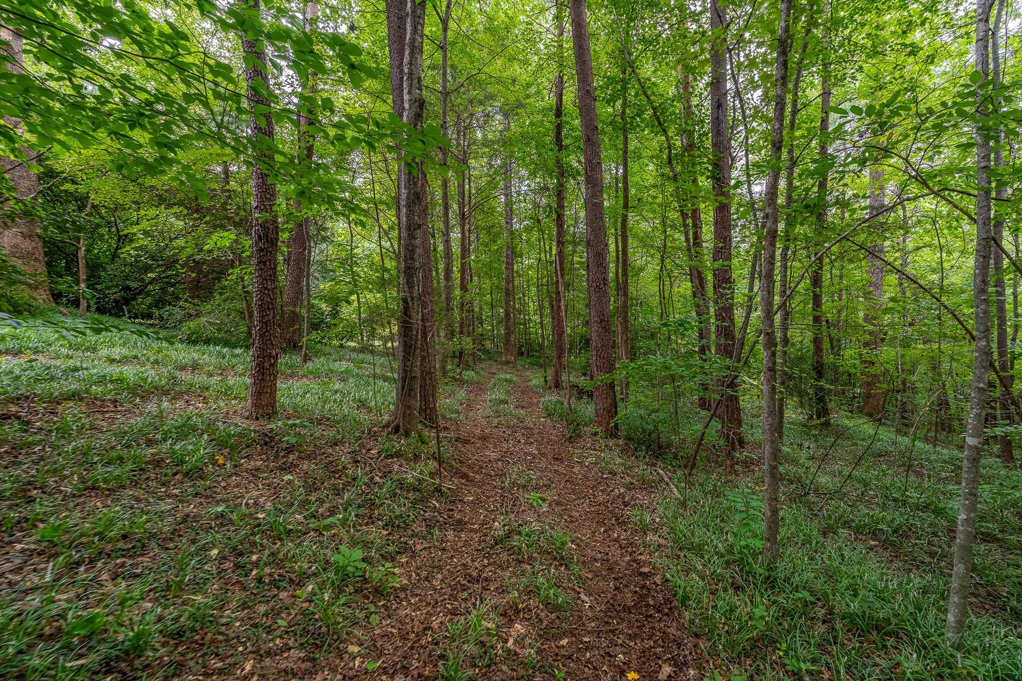 30 Tugaloo Bluff Road Property Photo 45