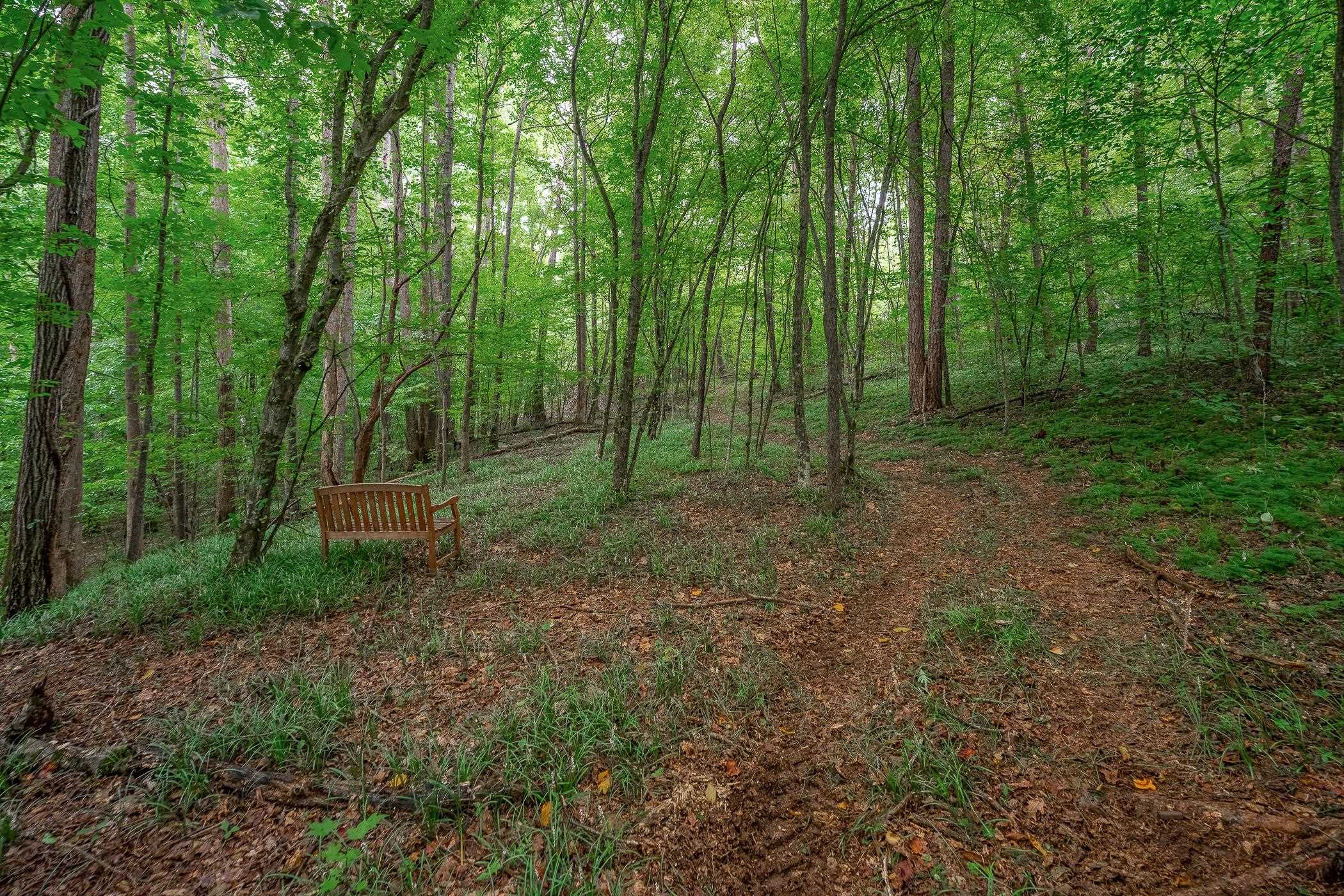 30 Tugaloo Bluff Road Property Photo 46