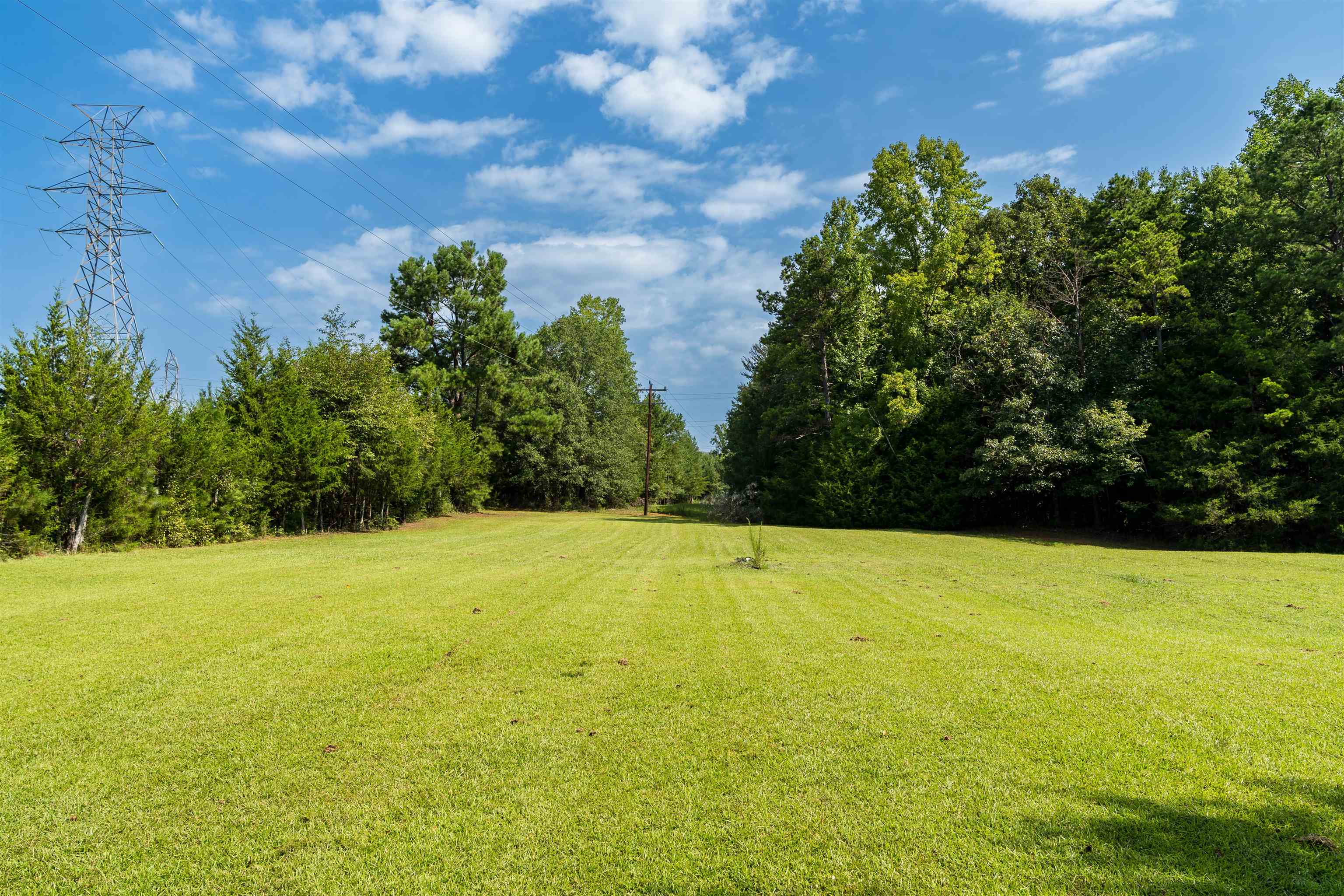 3908 Old Georgia Highway Property Photo 2