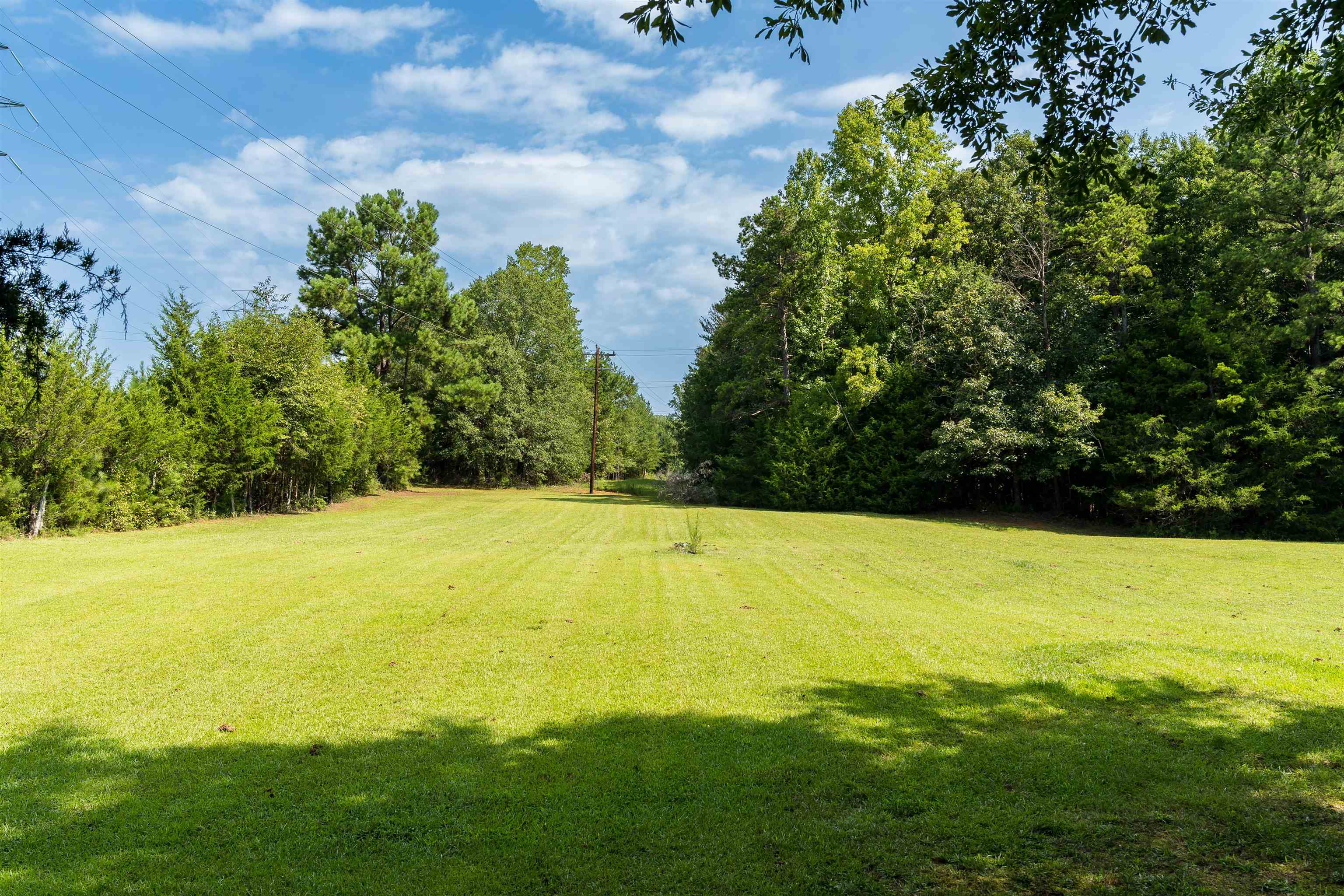 3908 Old Georgia Highway Property Photo 6