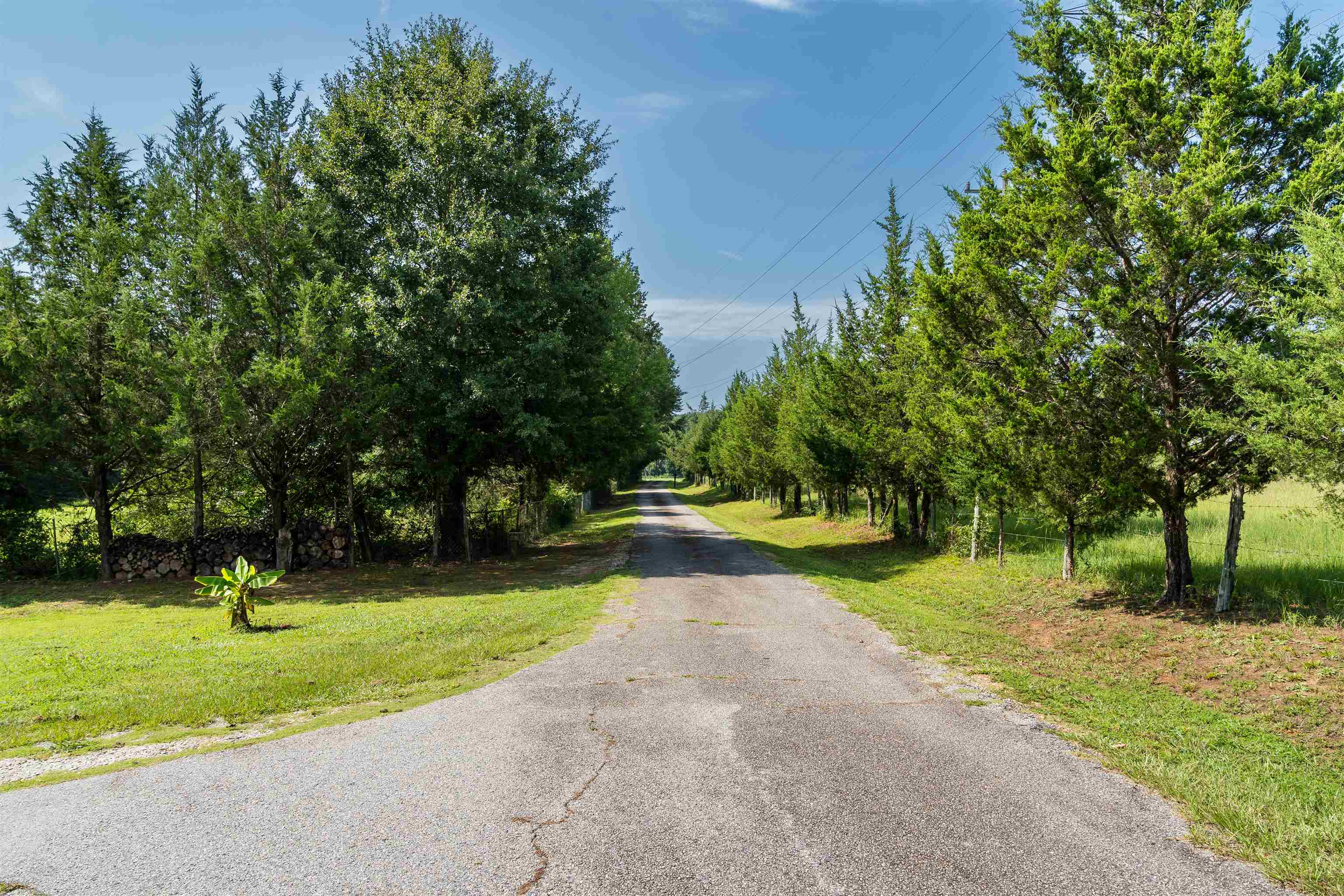 3908 Old Georgia Highway Property Photo 7