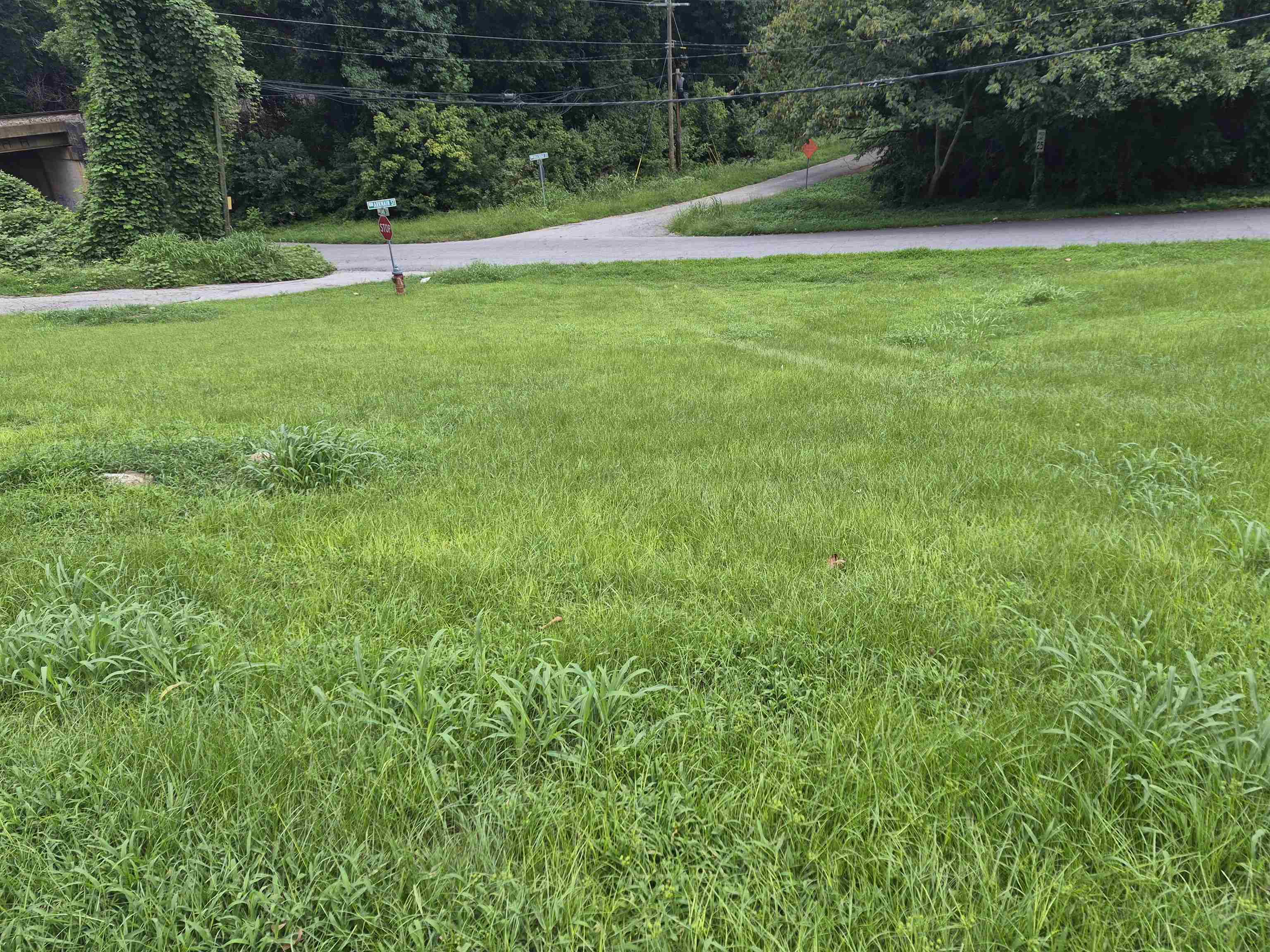 4 Arkmain St Street Property Photo 4