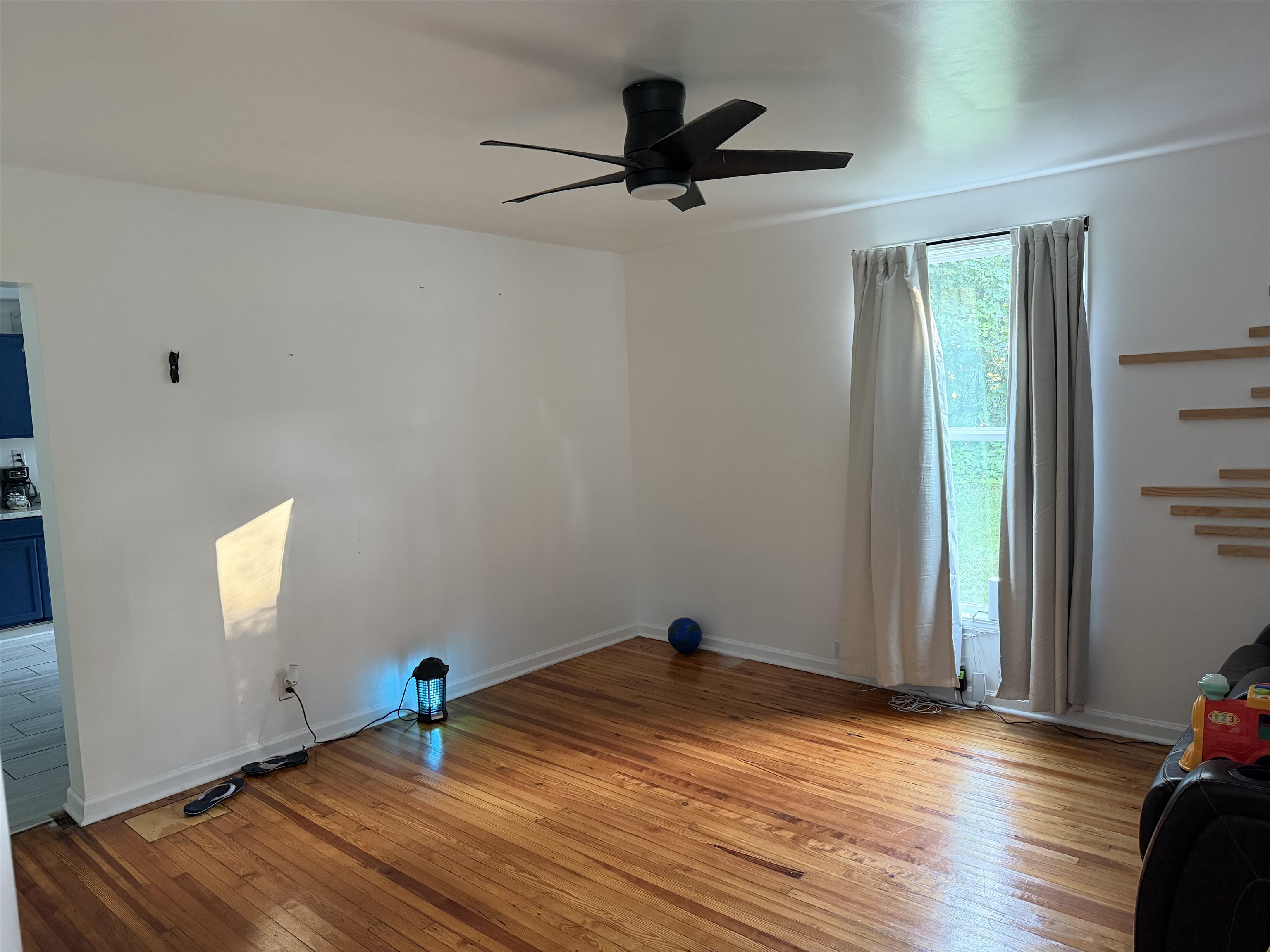 4 Arkmain St Street Property Photo 5