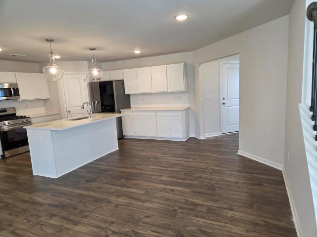 1142 Ogeechee Court Property Photo 15