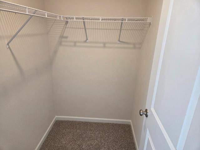 1142 Ogeechee Court Property Photo 36