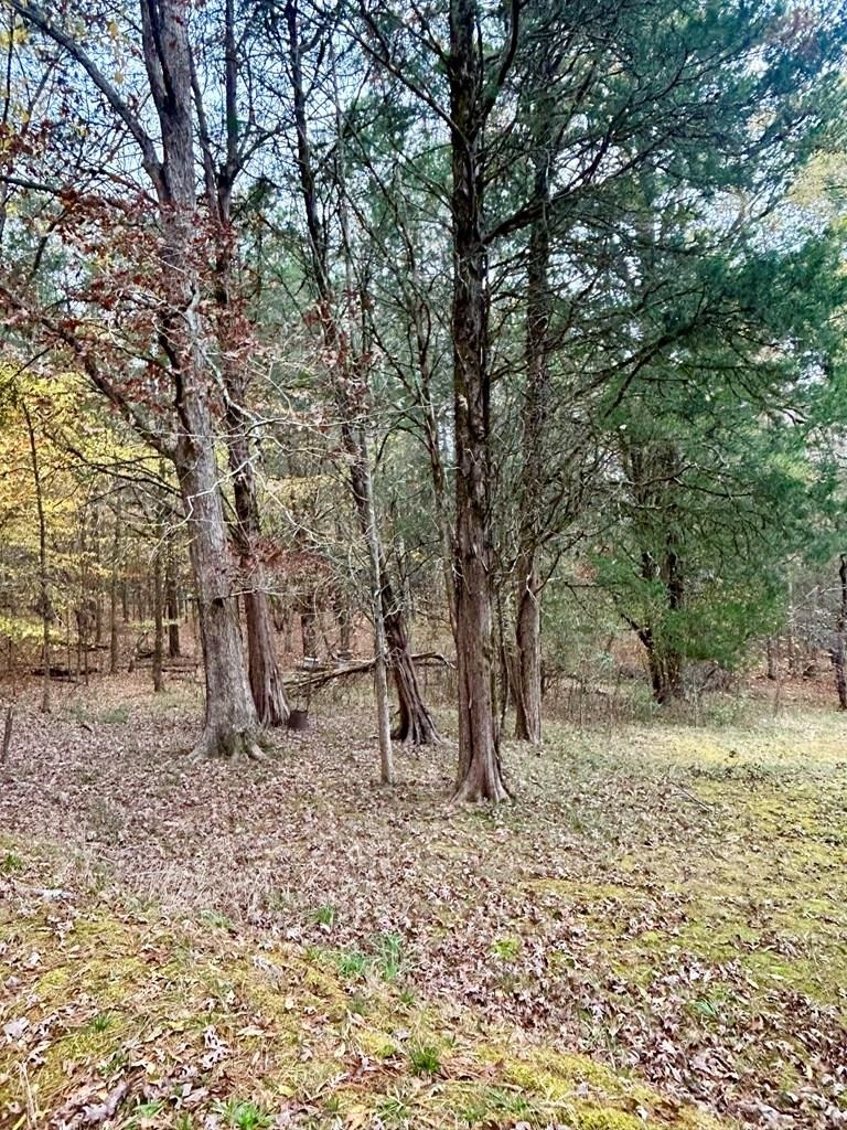 340816 Property Photo 2