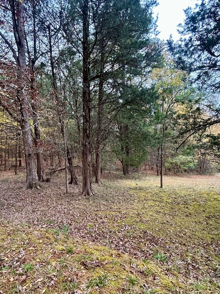 340816 Property Photo 3