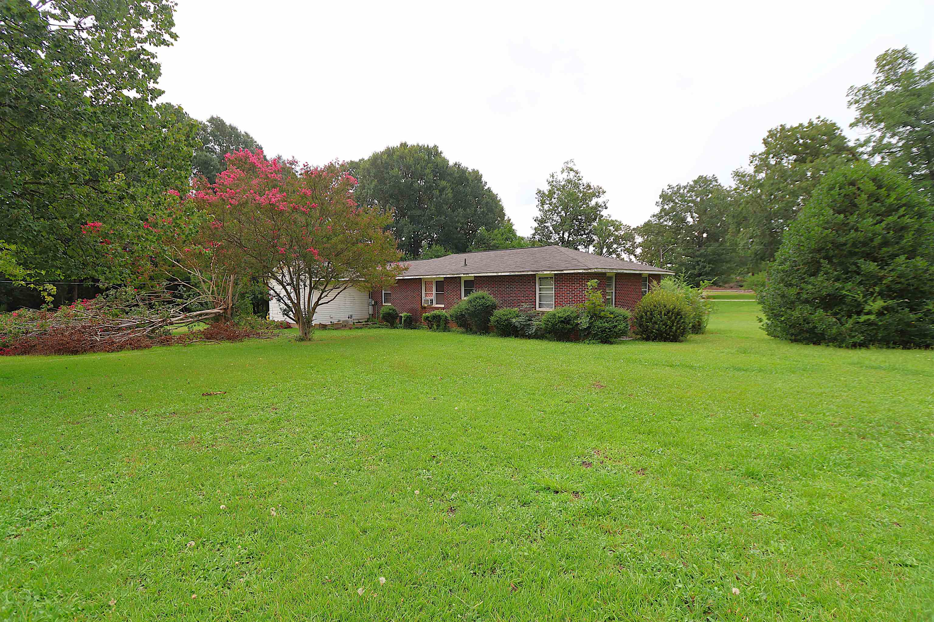 1317 Main Street Property Photo 41