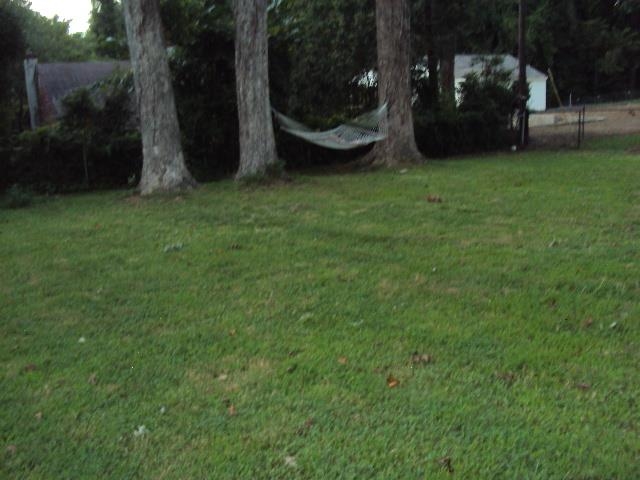 382 Forest Ave Avenue Property Photo 19