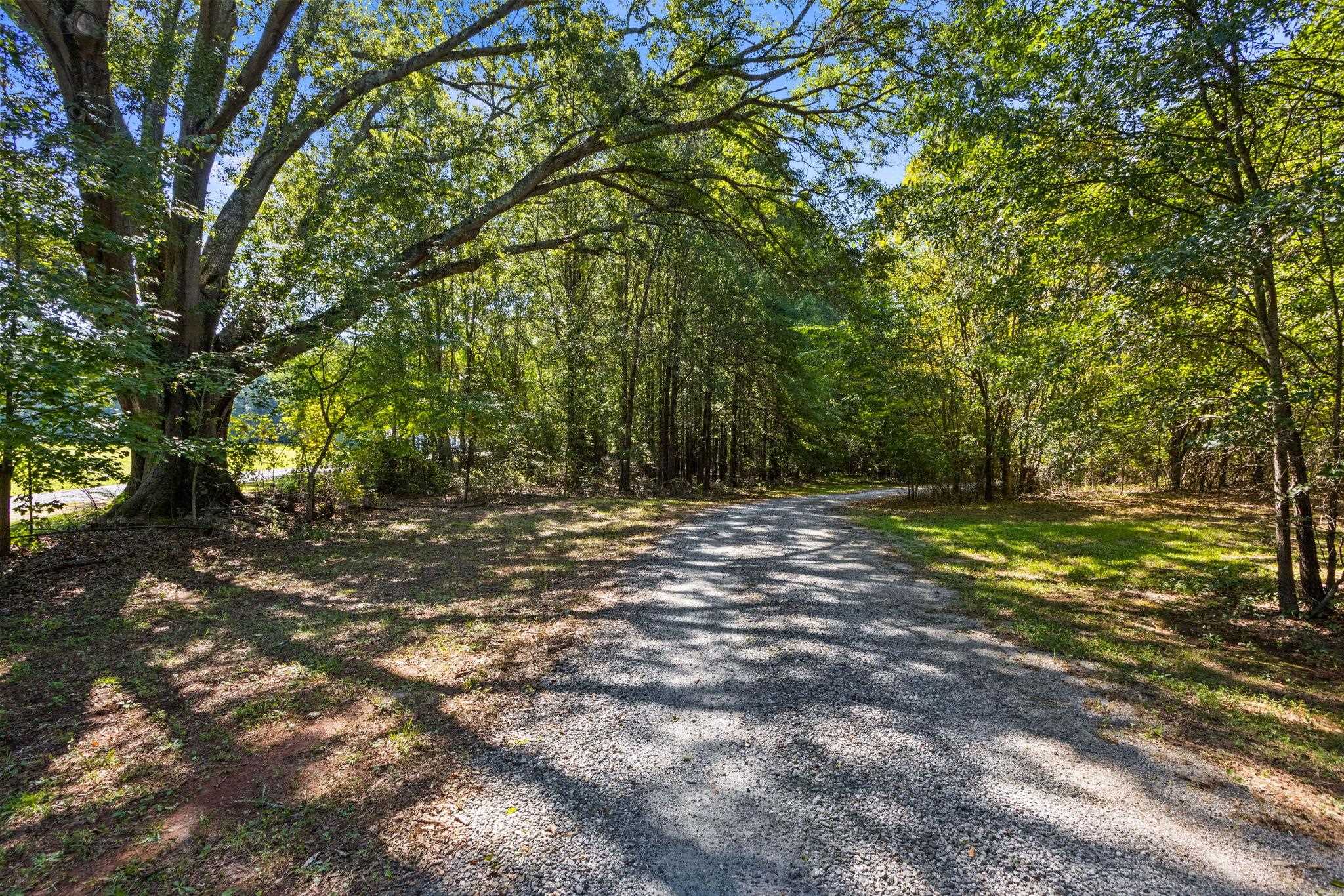 770 Dickson Road Property Photo 2