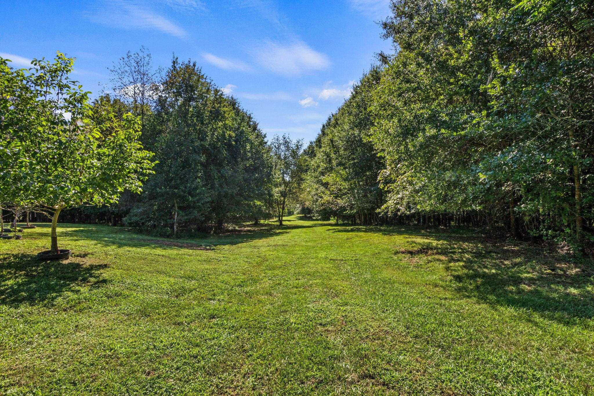 770 Dickson Road Property Photo 29