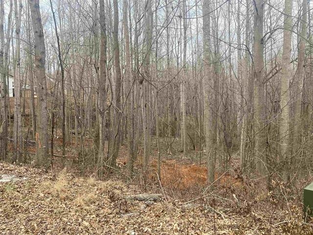 340982 Property Photo 6