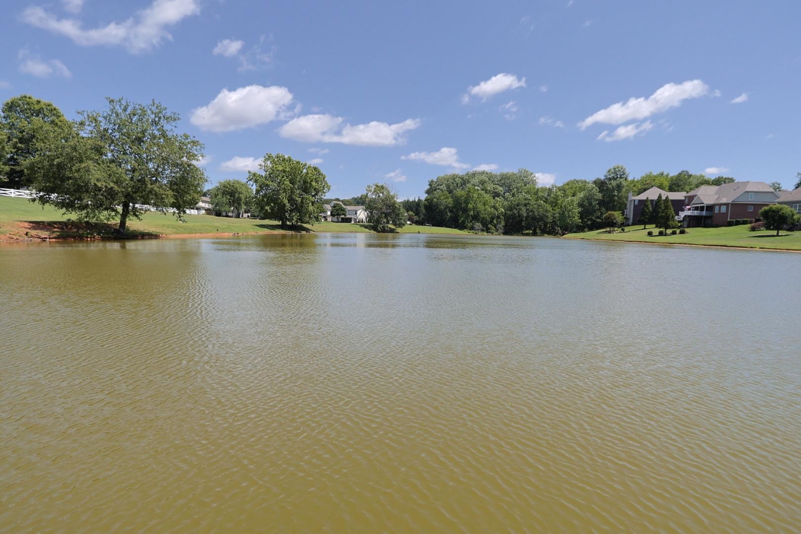 725 Ethridge Point Property Photo 21