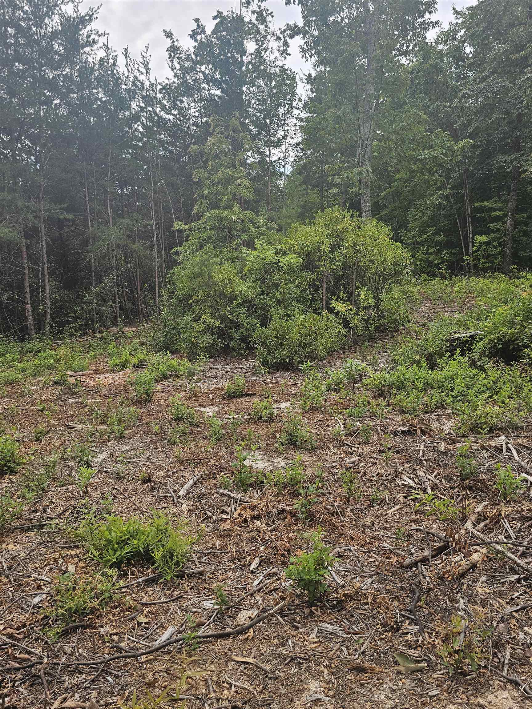 341036 Property Photo 4