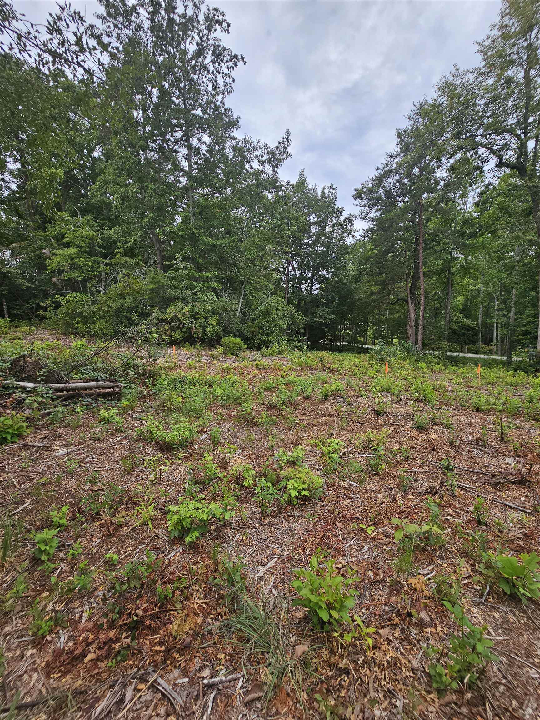 341037 Property Photo 5