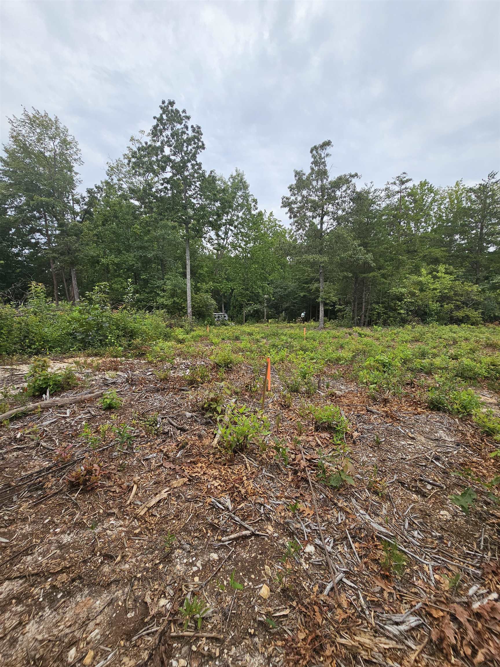 341037 Property Photo 6