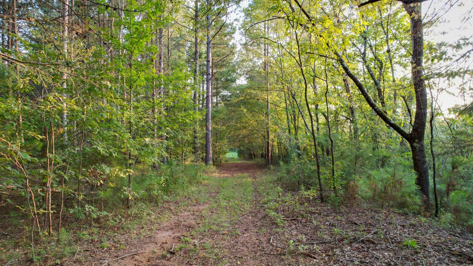 200 Lowe Lane Property Photo 44